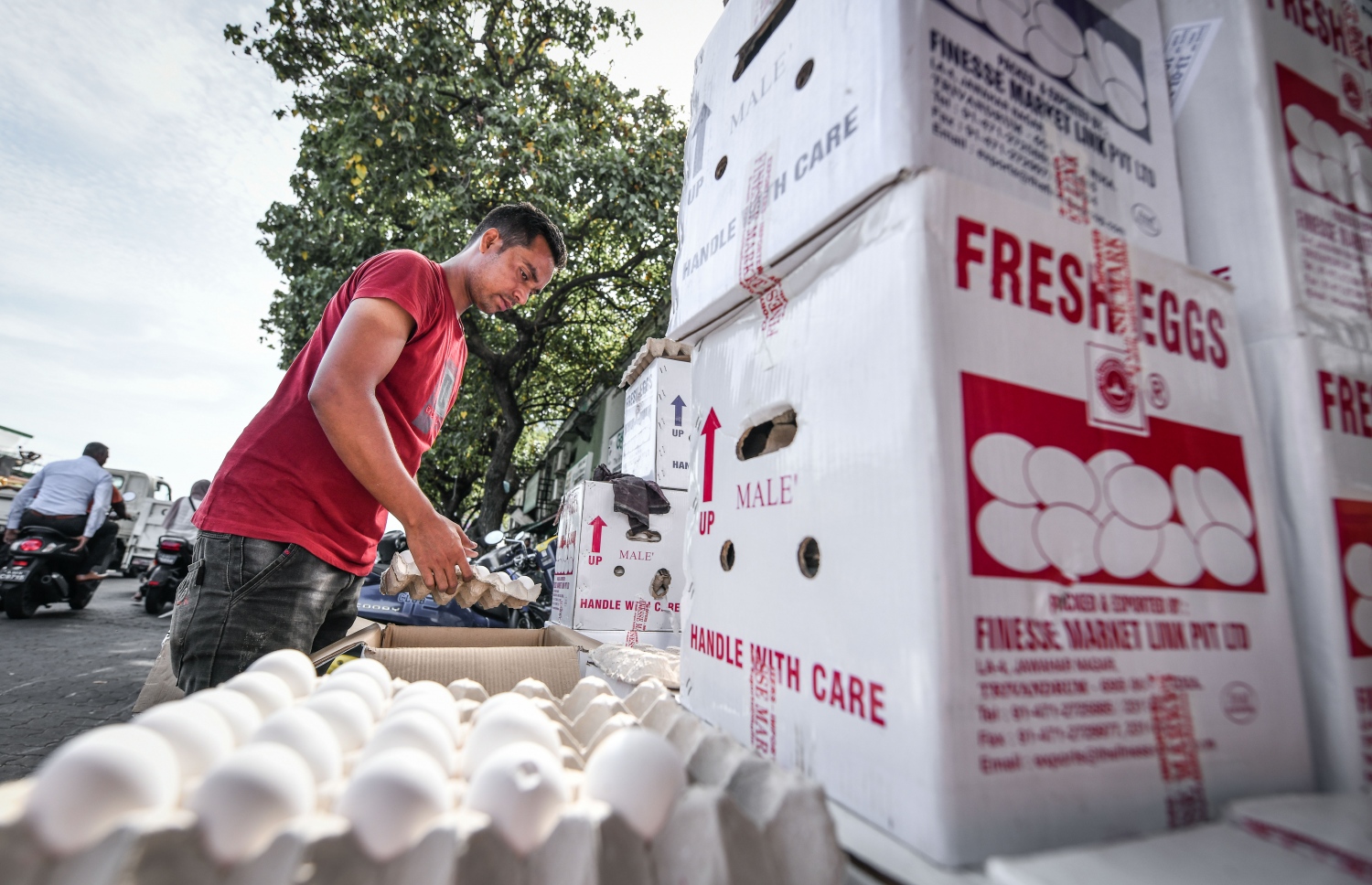 ލޯކަލް މާރުކޭޓު ސަރަހައްދުގައި މީހަކު ބިސްތަކެއް ސާފުކުރަނީ، ބިސް ކޭހެއް އެވްރެޖްކޮށް އުޅެނީ 300ރ. ގައި.-- ފޮޓޯ:ނިޝާން އަލީ / މިހާރު