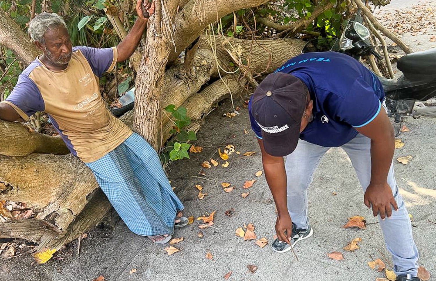 ބަނދަރު މިހާރު ތަރައްގީކުރަނީ މި ރަށަށް އެންމެ ރަނގަޅު ސަރަހައްދުގައިކަން އެމްޓީސީސީގެ މުވައްޒަފަކު ކުރައިގެން މީހަކަށް ކިޔައިދެނީ. -- ފޮޓޯ | މިހާރު