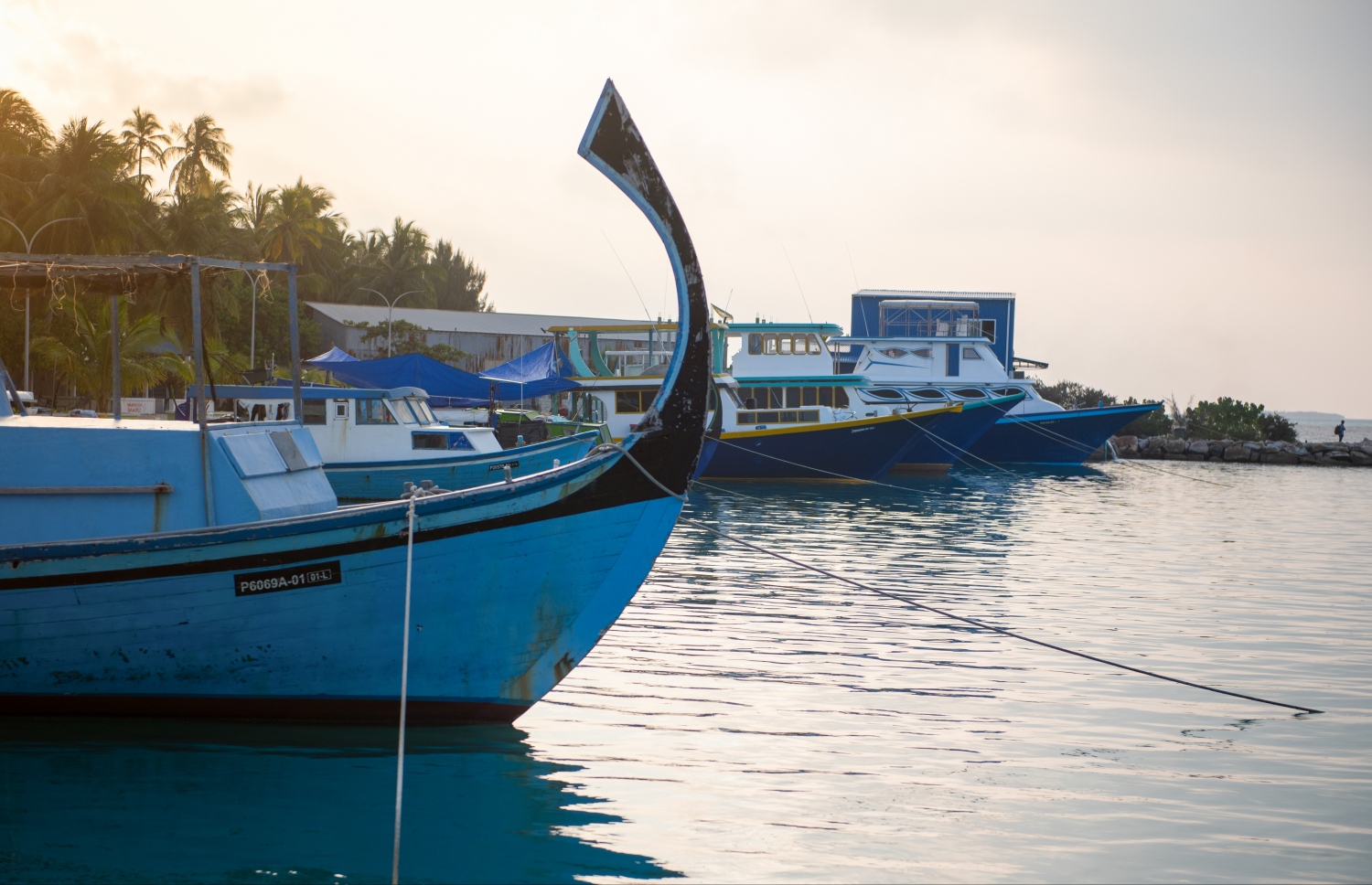 ބިލެއްދޫ ބަނދަރު: މި ރަށަކީ ފާނައިގެ މަސްވެރިކަމުގައި ނަގާ ކިޔާ ރަށެއް، ޒުވާނުންގެ ތެރޭގައި ވެސް ދުފުން އޮވޭ -- ފޮޓޯ: މިހާރު