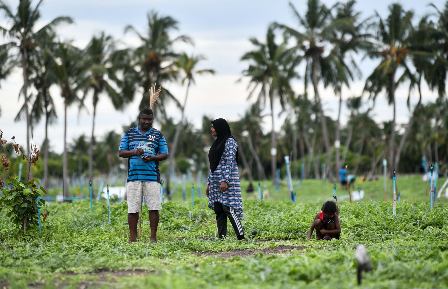 ތޮއްޑޫ ބަޔަކު ދަނޑުގައި: ދަނޑުތަކަށް ކުޑަކުދިން ވެސް ގޮސް އުޅޭ -- ފޮޓޯ: ފަޔާޒް މޫސާ/ މިހާރު