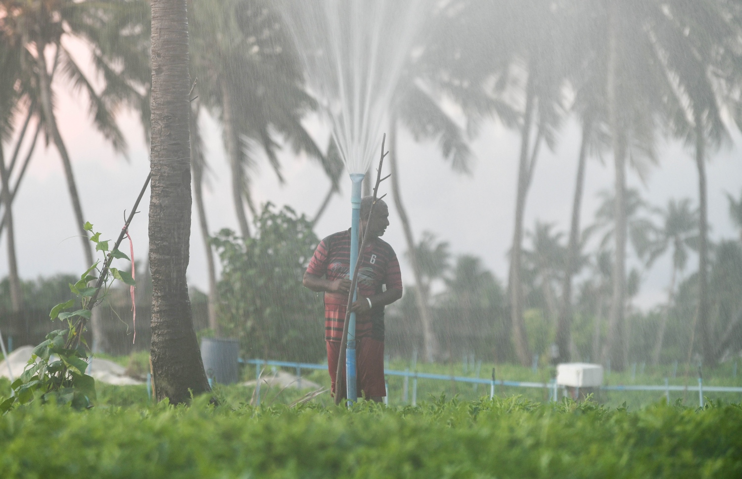 ދަނޑަކަށް މީހަކު ފެންޖަހަނީ -- ފޮޓޯ: ފަޔާޒް މޫސާ/ މިހާރު