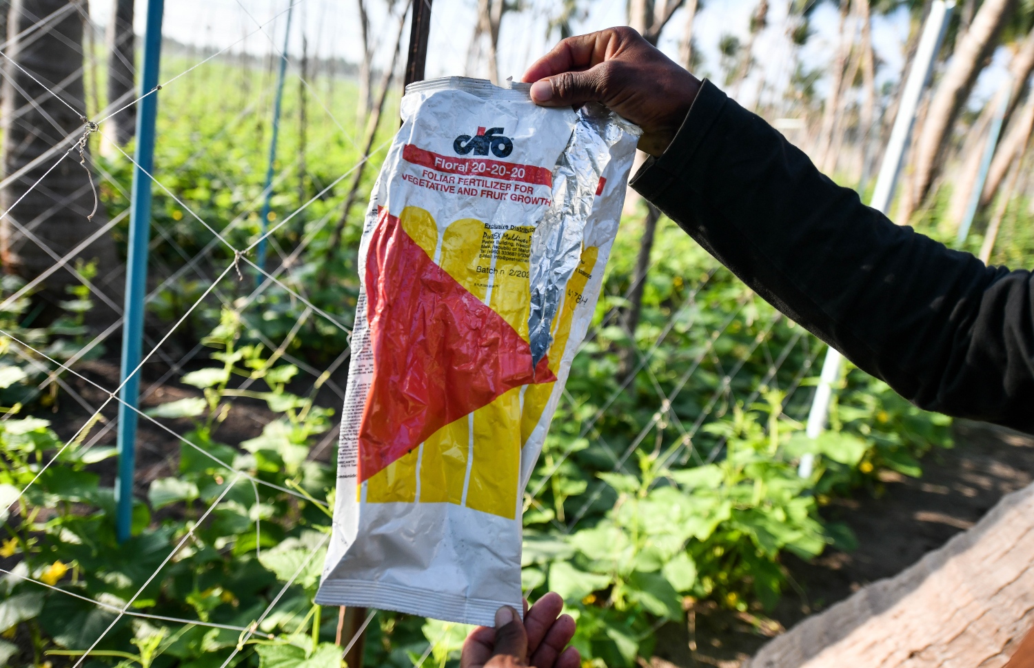 ދަނޑެއްގައި ބޭނުންކުރާ ކެމިކަލްތަކެއް މީހަކު ދައްކާލަނީ -- ފޮޓޯ: ފަޔާޒް މޫސާ/ މިހާރު