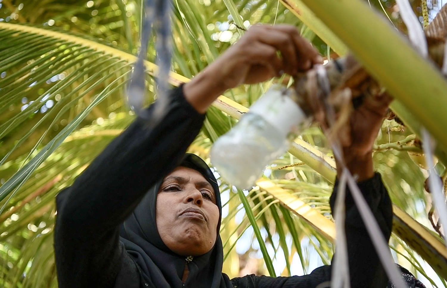 ހަފްސާ ރާބާލަނީ: އޭނާ އަކީ ފިޔޯރީގައި އެންމެ ފުރަތަމަ ރާވެރިކަމަށް ނުކުތް އަންހެން މީހާ-- ފޮޓޯ: ނިޝާން އަލީ/ މިހާރު