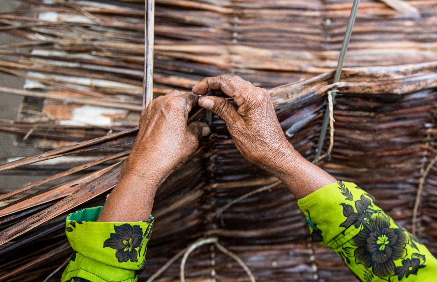 ފަންގިވިނުމަކީ ފ. އަތޮޅުގެ ވަރަށް ގިނަ ރަށްރަށުގައި އަންހެނުން ކުރާ ކަމެއް. މި އަތޮޅުގައި އުފައްދާ ފަންބޮނޑިތައް ގަންނަން އެކި ރިސޯޓްތަކުގެ އެޖެންޓުން އާދޭ. ފަންބޮނޑިއެއް ވިއްކަނީ 80ރ. އަށް. މަރިޔަމް ބުނާ ގޮތުން އޭނާ އަށް އެކަން އޮންނަނީ ނުވެފައި -- ފޮޓޯ: ވިޝާހު ޒަރީރު/ މިހާރު