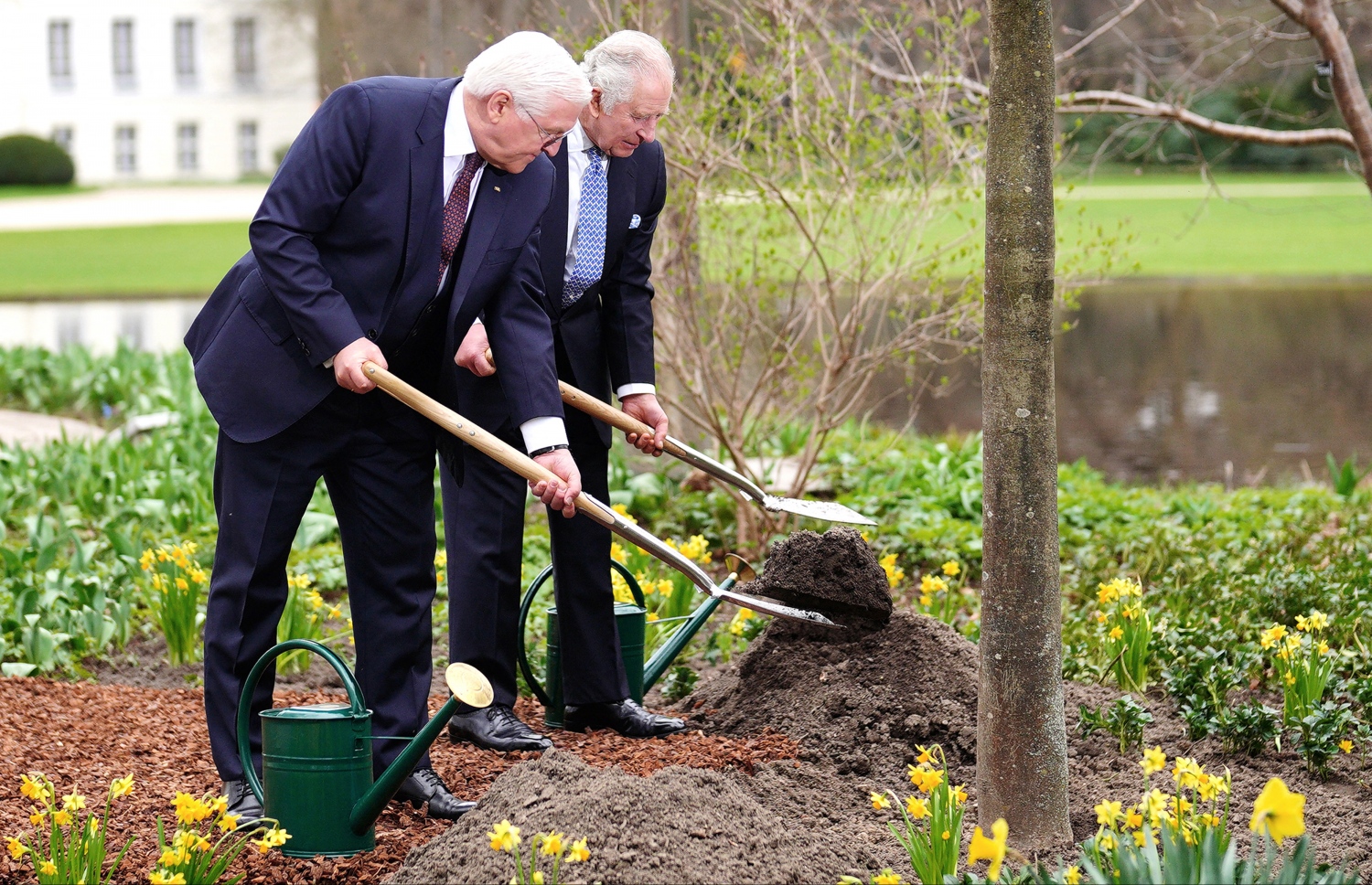 މާޗް 29، 2023؛ އިނގިރޭސި ރަސްގެފާނު ޗާލްސް ޖަރުމަން ވިލާތަށް ކުރައްވާ ރަސްމީ ދަތުރުފުޅުގައި، ޖަރުމަން ވިލާތުގެ ރިއާސީ ގަނޑުވަރު ބެލްވްޔޫގެ ބަގީޗާގެ ތެރޭގައި އެ ގައުމުގެ ރައީސް ފްރެންކް-ވޯލްޓާ ސްޓެއިންމިއާ އެކު ގަހެއް އިންދަވަނީ. --އޭއެފްޕީ