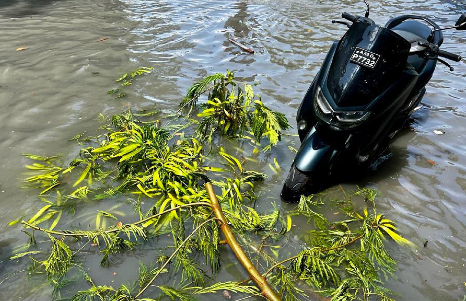 ހެނދުނު މާލެ އަށް ވެހުނު ބޯ ވާރޭގައި މަގުތަކުގައި ފެންބޮޑުވެފަވާއިރު، ވަޔާއެކުއެކު ގަހެއްގެ ގޮފިގަނޑު މަގުމައްޗަށް ވެއްޓިފައި.---ފޮޓޯ: މިހާރު