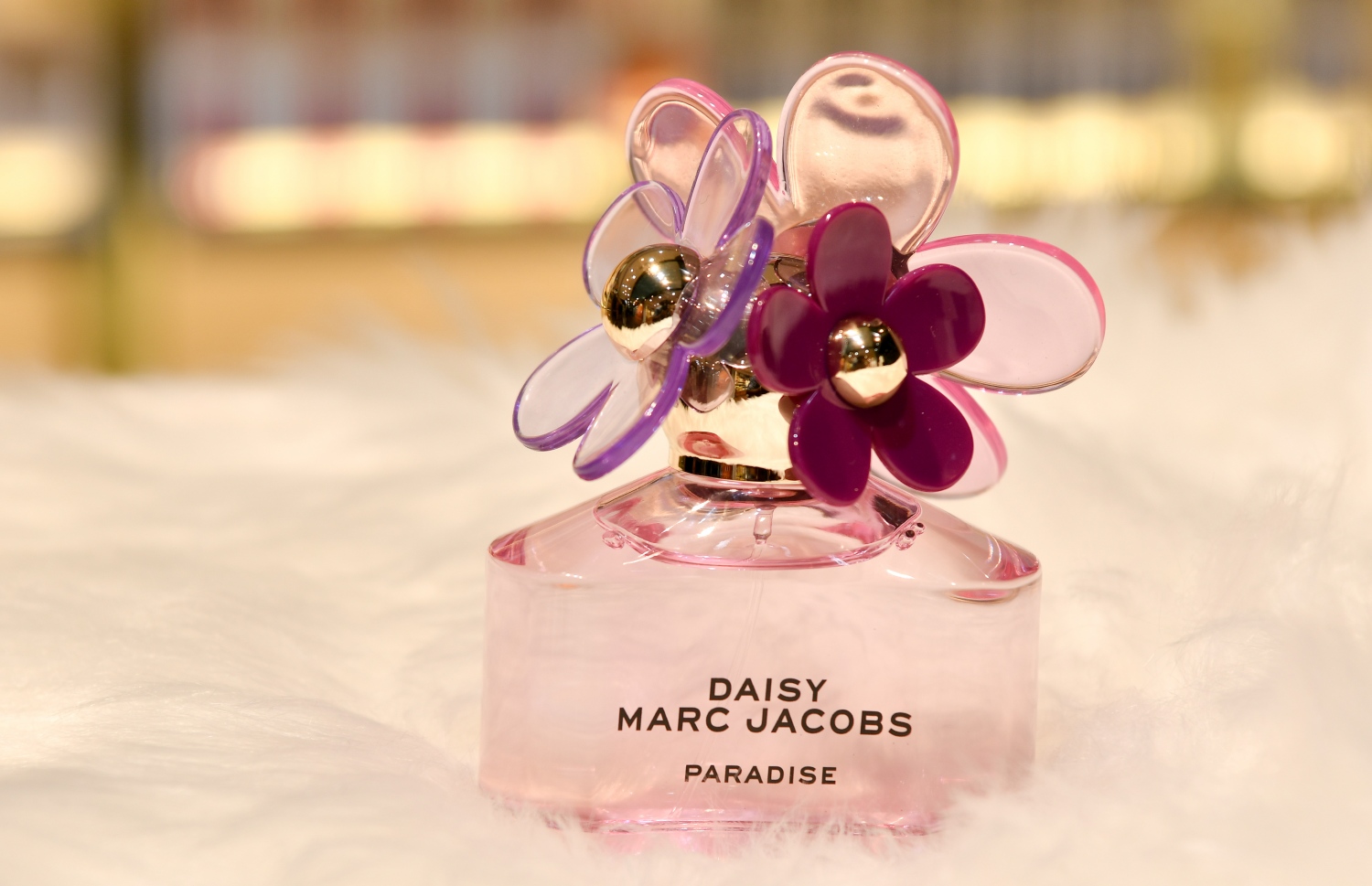 ލެކިއުޓަށް އަލަށް ގެނައި ސެންޓުފުޅީގެ ތެރޭގައި ހިމެނޭ ފުޅިއެއް. -- ފޮޓޯ: ނިޝާން އަލީ | މިހާރު