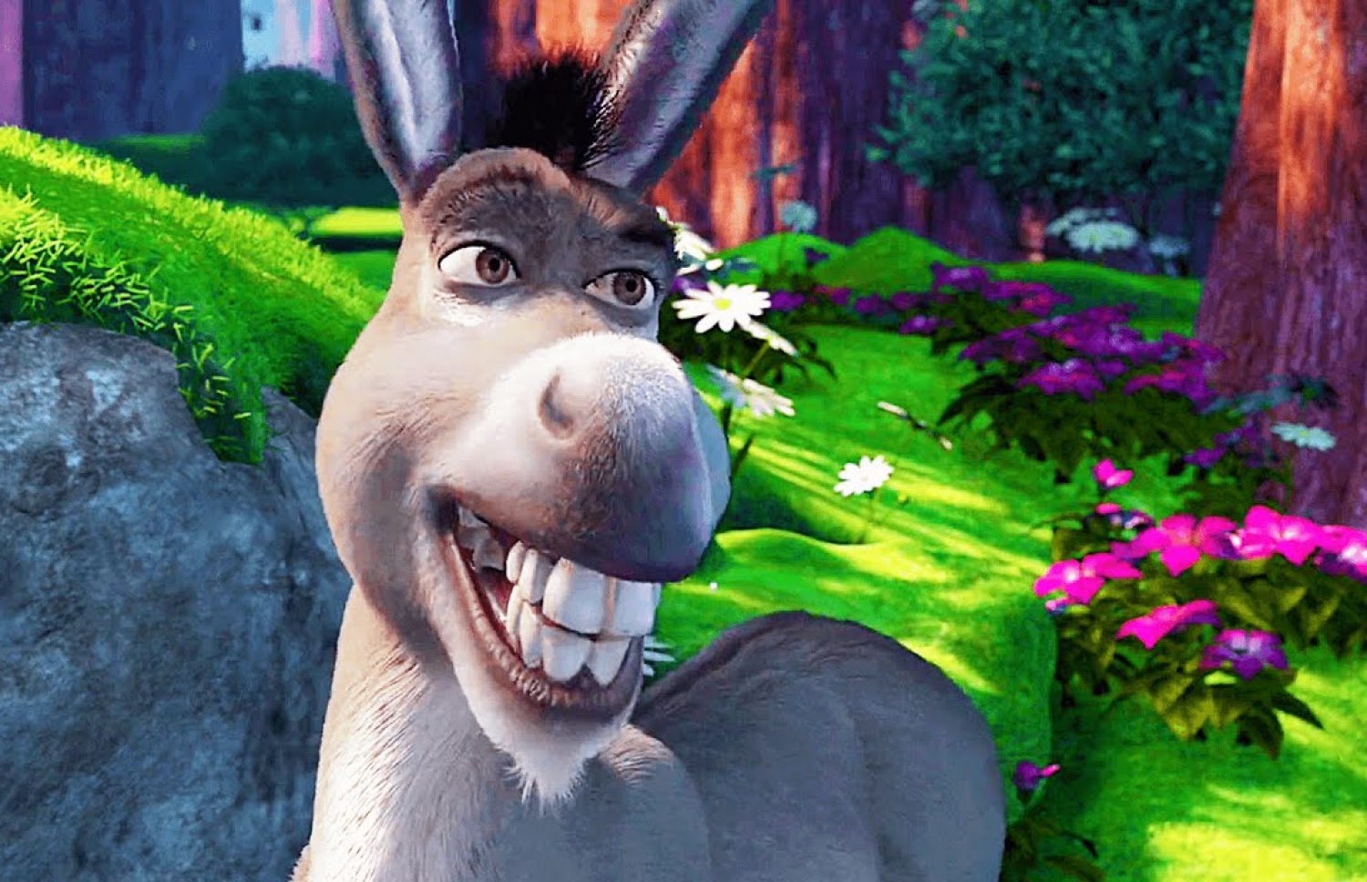 "ޝްރެކް" ފިލްމުގައި އުޅޭ ޑޮންކީ