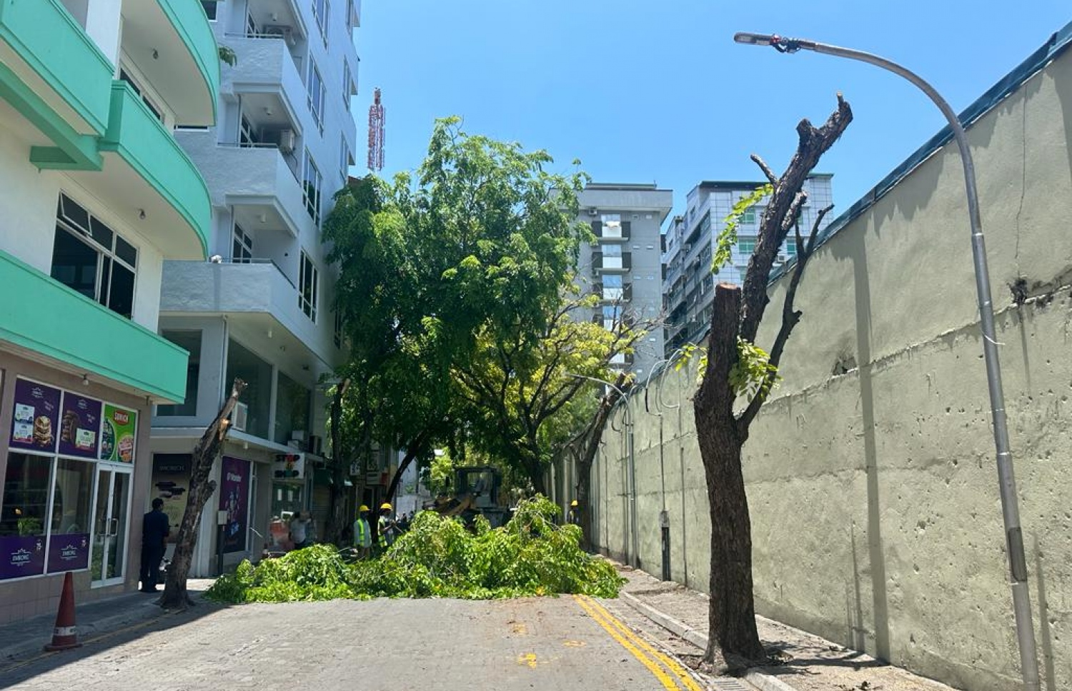 އަމީނީ މަގުގައި ބިލަބޮންގް ކައިރީގައި ހުރި ގަސްތައް ކަނޑަނީ.-- ފޮޓޯ: މޭޔަރު މުއިއްޒު