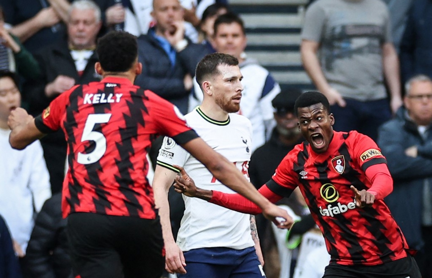 ބޯންމަތުން ޓޮޓެންހަމް ބަލިކުރި ގޯލު ޖެހުމަށް ފަހު.-- ފޮޓޯ: އޭއެފްޕީ