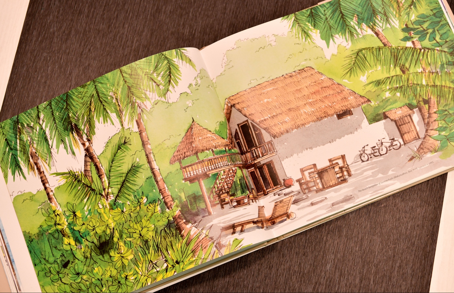 50 އިޔާޒް އޮފް ޓޫރިޒަމް: ޕައޮނިއާސް، ޕީޕަލް އެންޑް ޕޮލިސީޒް ދެޓް ޝޭޕްޑް މޯލްޑިވްސް ޓޫރިޒަމް ފޮތުގެ އެތެރެ.. -- ފޮޓޯ: ނިޝާން އަލީ | މިހާރު