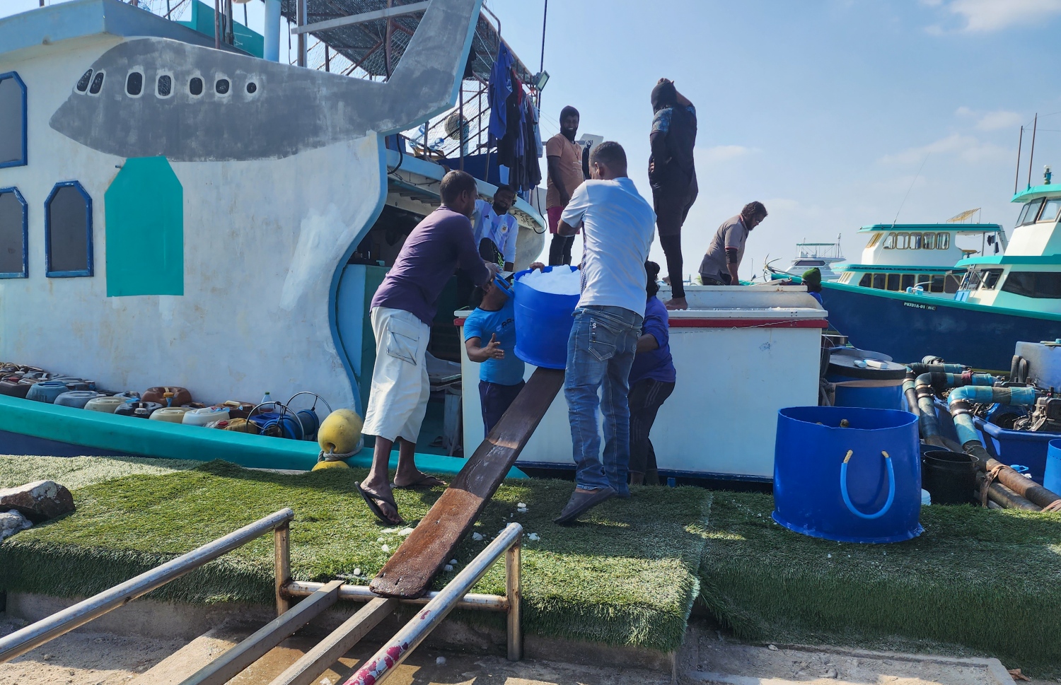 ފީއަލީގައި ބަހައްޓާފައި ހުރި އައިސް ޕްލާންޓުން ދޯންޏަކަށް އައިސް ފޯރުކޮށްދެނީ -- ފޮޓޯ: ވިޝާހު ޒަރީރު/ މިހާރު