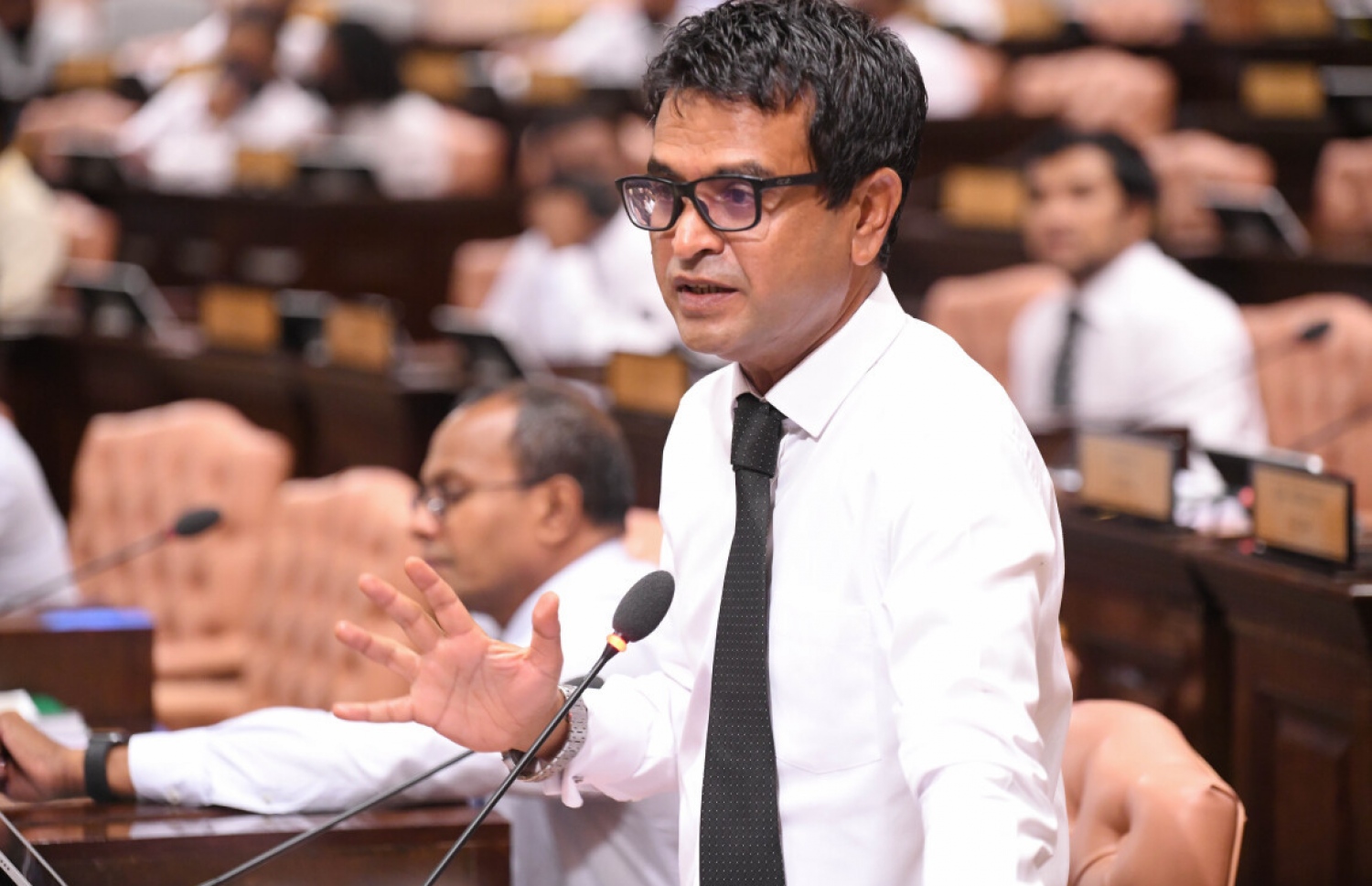 ހޯރަފުށީ ދާއިރާގެ މެންބަރު އަހުމަދު ސަލީމް