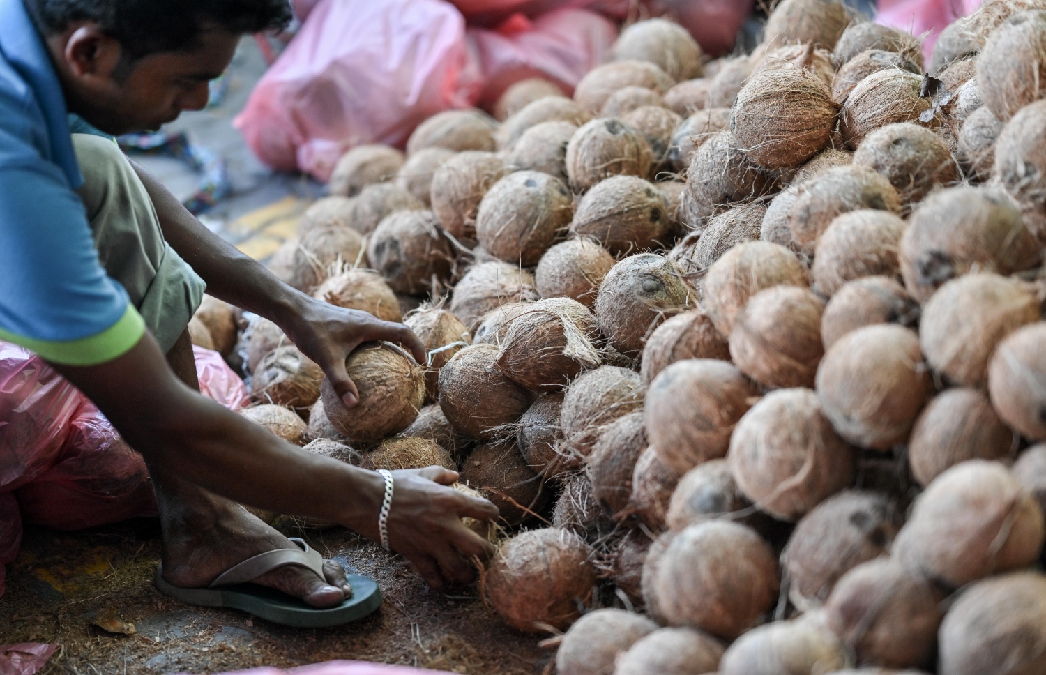 ދިވެހިންނަށް ބެހުމަށް ޗަމްޕާ ބްރަދާސްގެ ފަރާތުން ހަދިޔާކުރި ކާށިތައް ބެހުމަށް ސިޓީ ކައުންސިލްގެ އާންމު ހިދުމަތްތަކާ ބެހޭ އިމާރާތުގައި ތައްޔާރުކުރަނީ.--- ފޮޓޯ: ނިޝާން އަލީ / މިހާރު