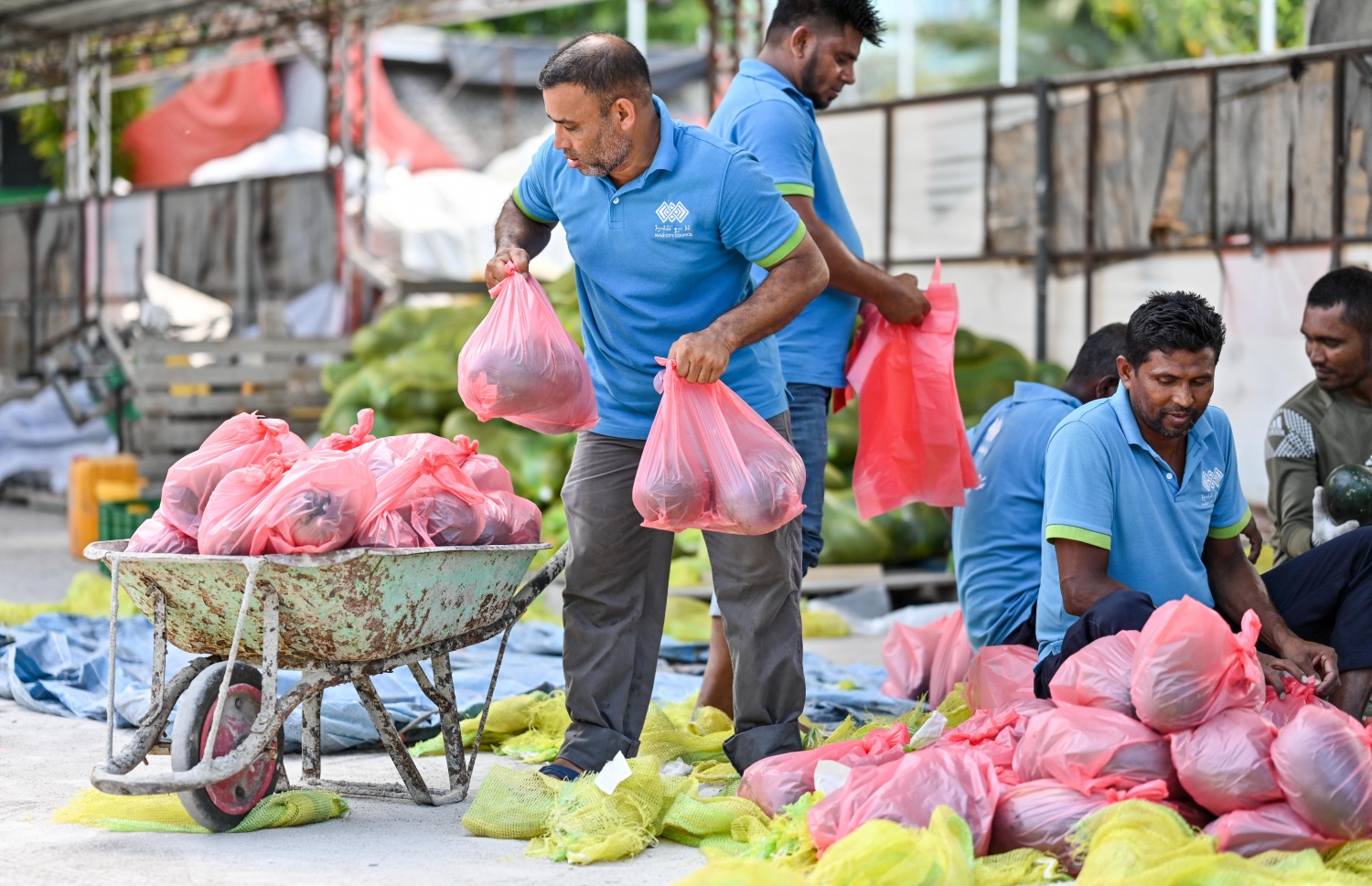 ދިވެހިންނަށް ބެހުމަށް ޗަމްޕާ ބްރަދާސްގެ ފަރާތުން ހަދިޔާކުރި ކަރާތަކެއް ބެހުމަށް ސިޓީ ކައުންސިލްގެ އާންމު ހިދުމަތްތަކާ ބެހޭ އިމާރާތުގައި ތައްޔާރު ކުރަނީ.--- ފޮޓޯ: ނިޝާން އަލީ / މިހާރު