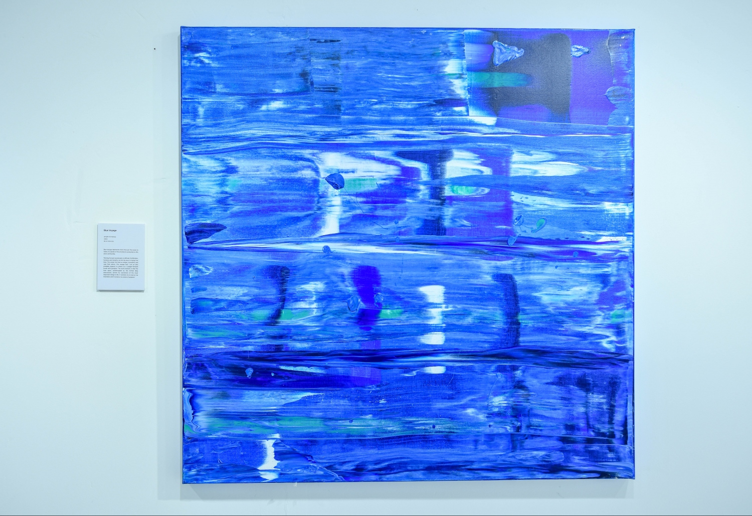 ޓޯނީގެ "ބްލޫ ވޮޔާޖް" ޕެއިންޓިން. -- ފޮޓޯ: ފަޔާޒް މޫސާ | މިހާރު