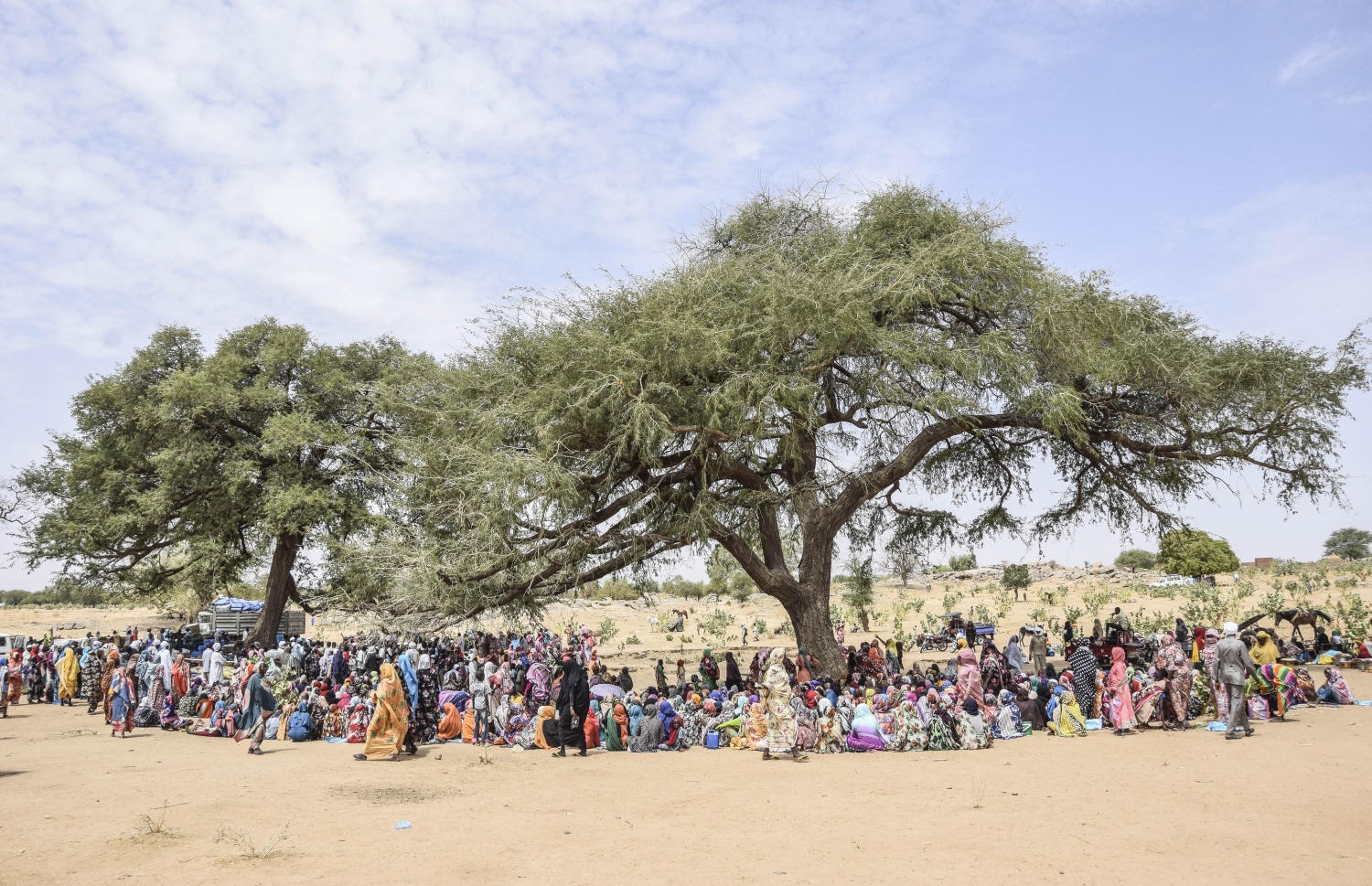 އެޕްރީލް 30، 2023؛ ދާޚިލީ ހަނގުރާމައިގެ ސަބަބުން ސޫދާން ދޫކޮށް ރެފިއުޖީންގެ ގޮތުގައި އަވައްޓެރި ޗާޑަށް އެތެރެވި ސޫދާންގެ ރައްޔިތުންތަކެއް، ޗާޑްގެ ސަހަރާއެއްގެ ތެރޭގައި ހުރި ގަހެއްގެ ހިޔަލުގައި މަޑުކޮށްލައިގެން. --އޭއެފްޕީ