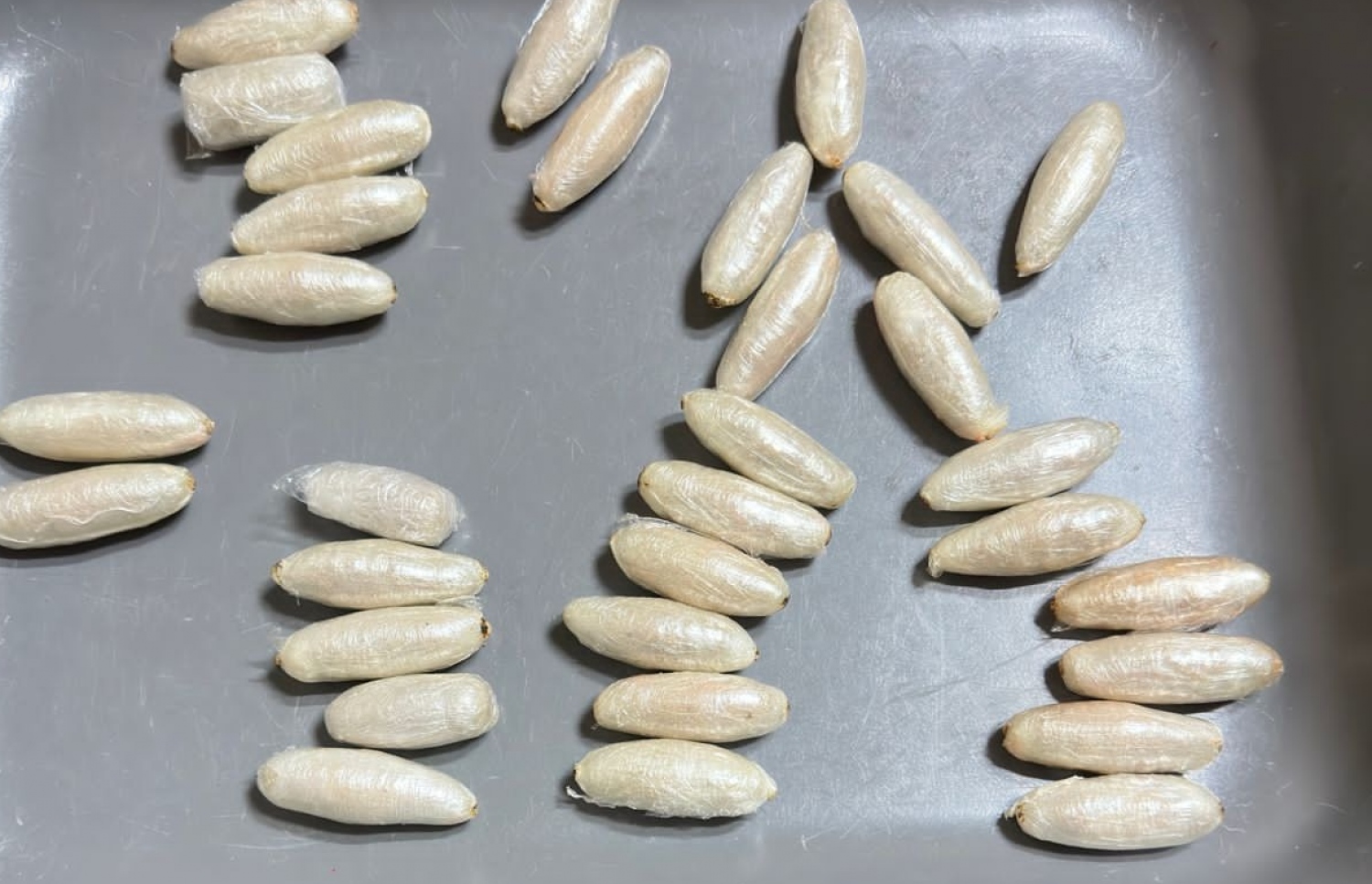 ދިވެހި މީހާގެ އަތުން އަތުލައިގަތް ޑްރަގު.