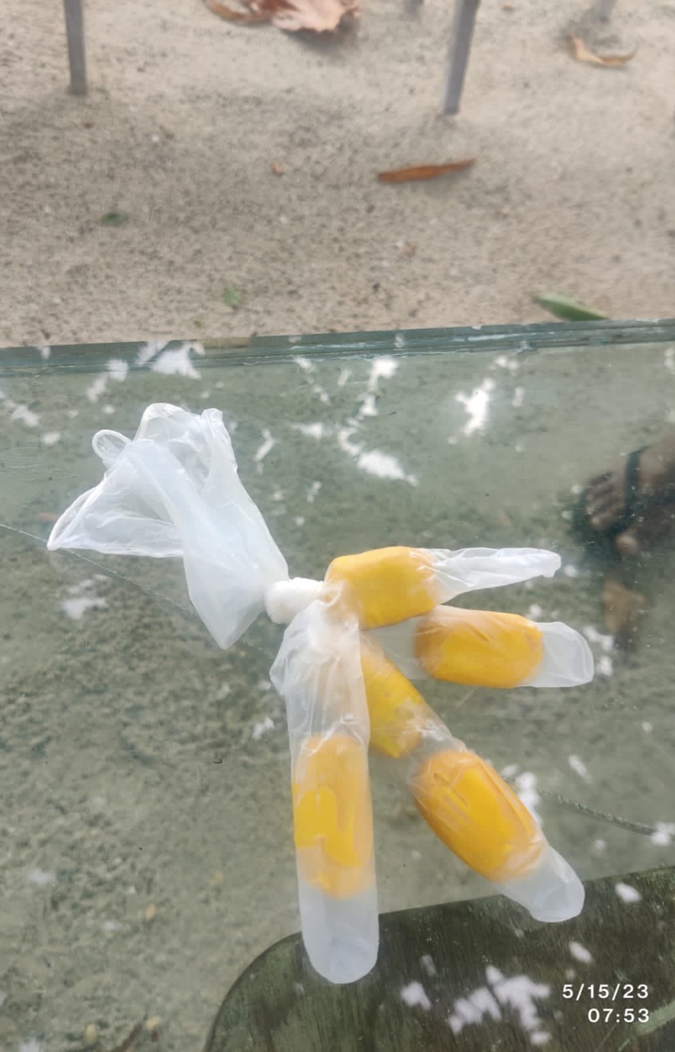 އައްސޭރި ޖަލަށް އެތެރެކުރަން އުޅެނިކޮށް އަތުލައިގަތް ޑްރަގްސް.-- ފޮޓޯ: ކަރެކްޝަންސް