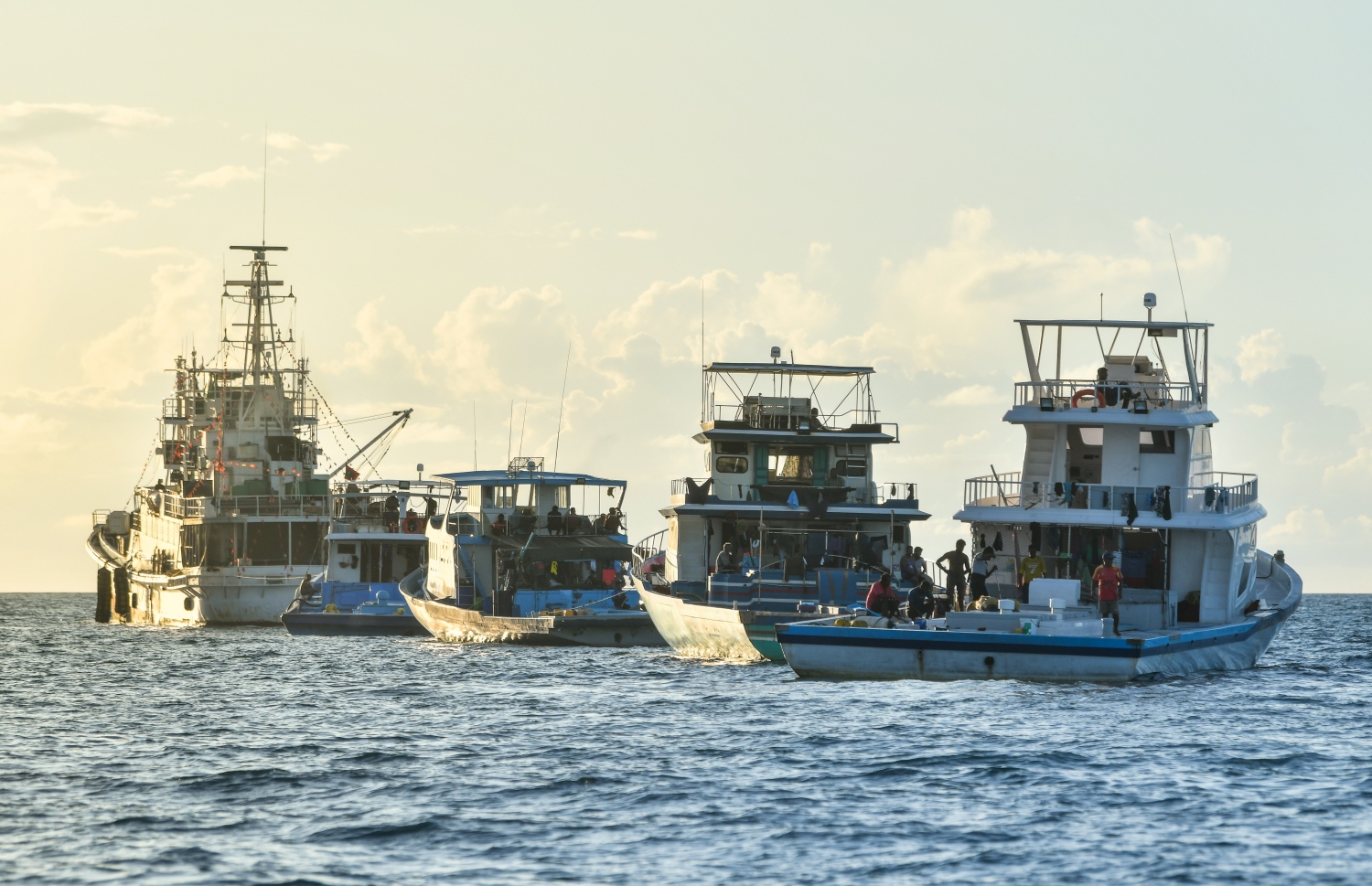 މިފްކޯގެ މަސް ކިރާ ބޯޓެއް ކައިރީގައި މަސްއޮޑިތައް މަސްކިރުމަށް ކިއޫ ހަދާފައި: މިފްކޯގެ މަސްކިރުމުގެ ގާބިލުކަން އިތުރުކުރުމަށް އެ ކުންފުނިން އަންނަނީ ސެންޓަރުތަކުގެ ފްރީޒިން އަދި ސްޓޯރޭޖް ކެޕޭސިޓީ އިތުރުކޮށް، ރާއްޖޭގެ އެކި ހިސާބުތަކުގައި މަސް ގަންނަ އިތުރު ސެންޓަރުތައް ހެދުމުގެ މަސައްކަތް ކުރަމުން.--- ފޮޓޯ: ފަޔާޒު މޫސާ | މިހާރު