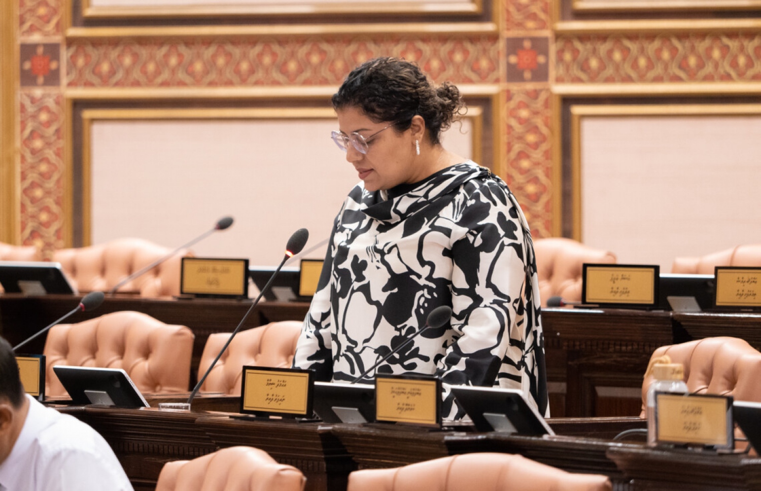 ހިންނަވަރު ދާއިރާގެ އެމްޑީޕީގެ މެމްބަރު ޖީހާން މަހުމޫދު މަޖިލީހުގެ ޖަލްސާއެއްގައި ވާހަކަ ދައްކަވަނީ. -ފޮޓޯ: މަޖިލީހުގެ އިދާރާ