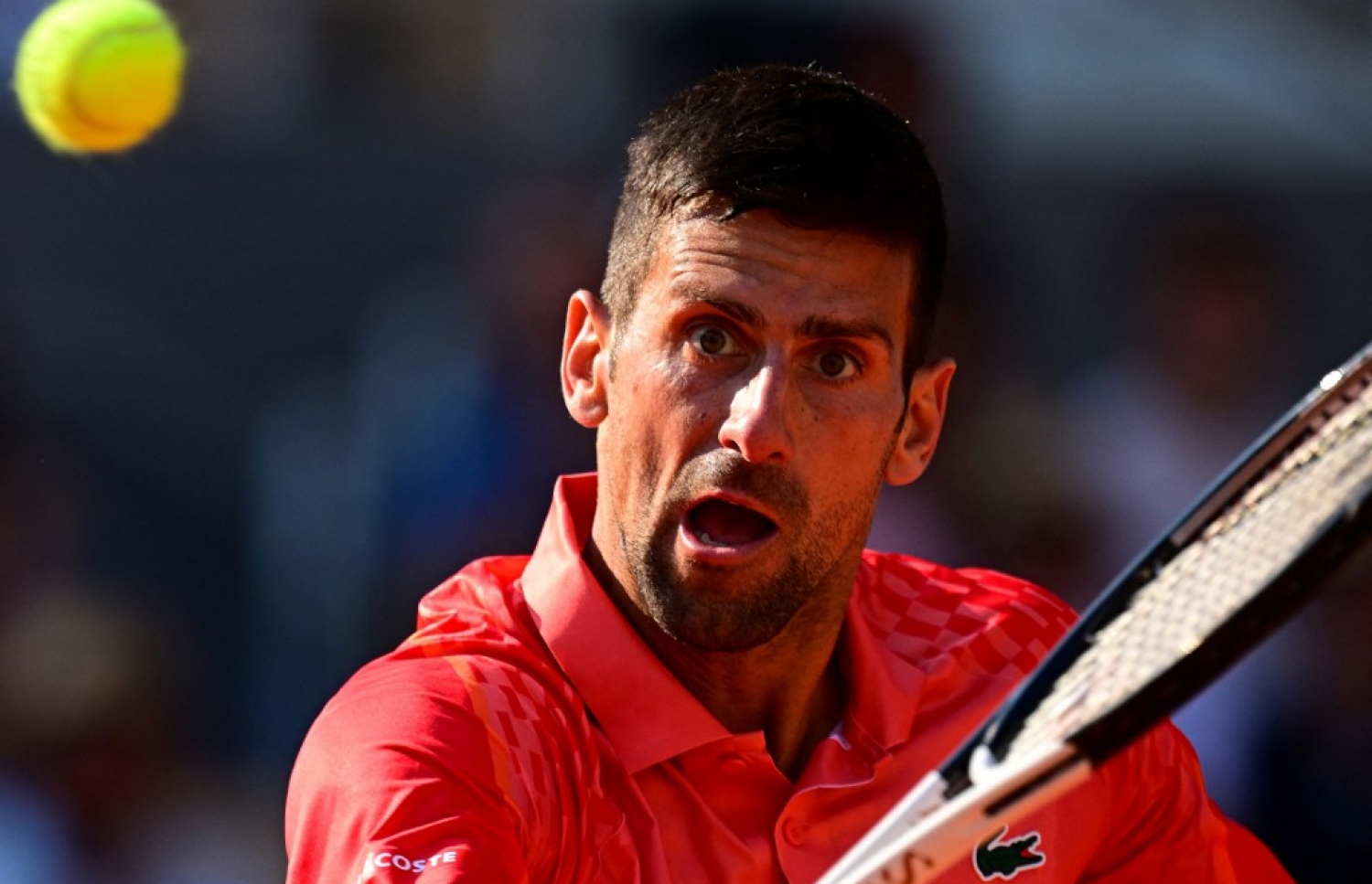 ކުއާޓާ ފައިނަލް މެޗުގައި ޖޮކޮވިޗް.-- ފޮޓޯ: އޭއެފްޕީ