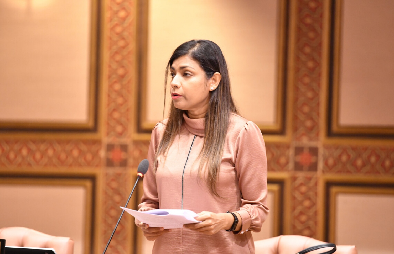 އައްޑޫ މީދޫ ދާއިރާގެ މެމްބަރު ރޮޒެއިނާ އާދަމް މަޖިލީހުގެ ޖަލްސާއެއްގައި--  ފޮޓޯ: މަޖިލީހުގެ އިދާރާ