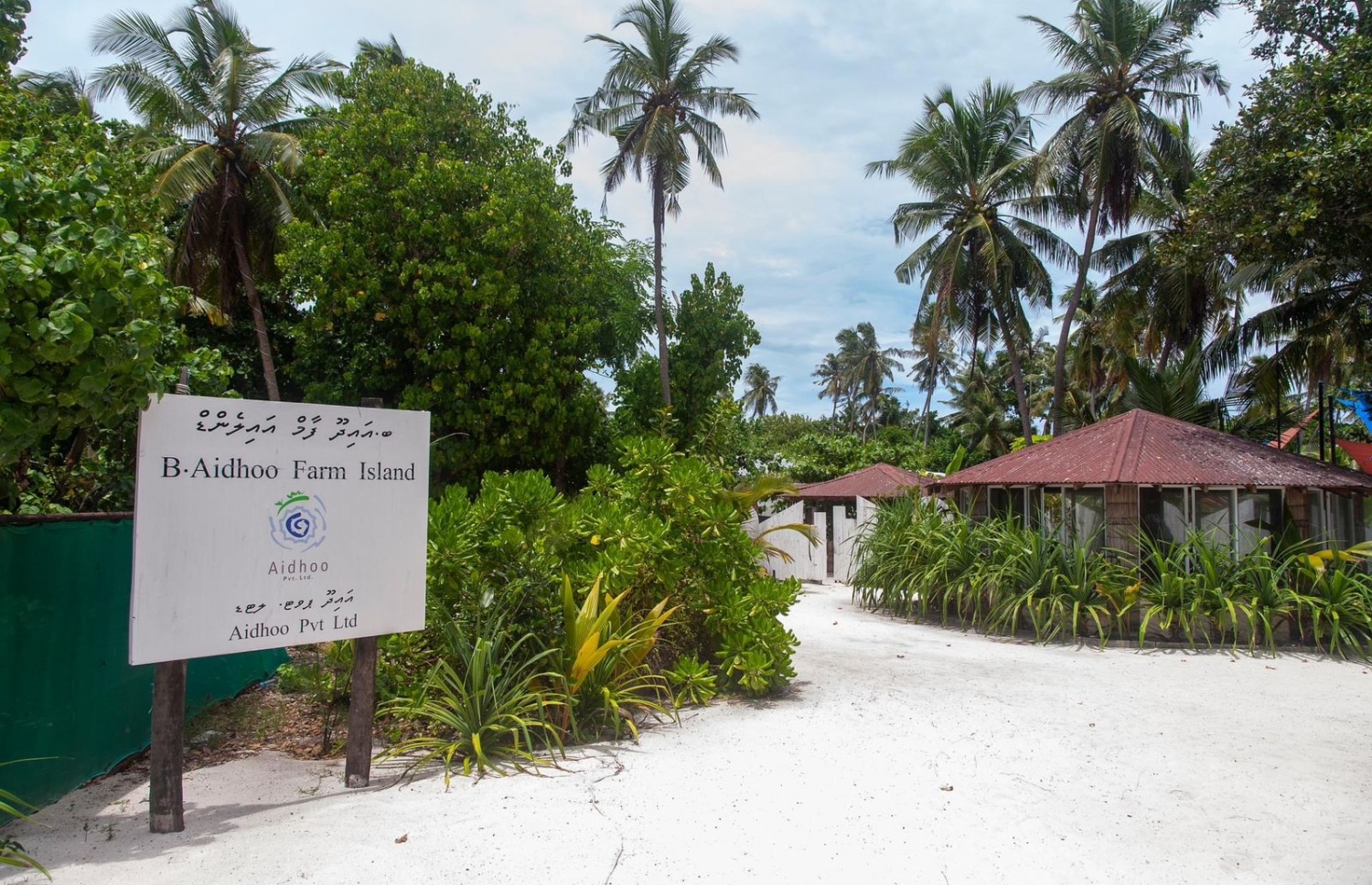 ބ. އައިދޫ: އެ ރަށުގައި ކޮޓަރި އަންނަނީ ކުއްޔަށް ދޫކުރަމުން. -- ފޮޓޯ: ދޮންފަނު ބީޗް ވިއުސް