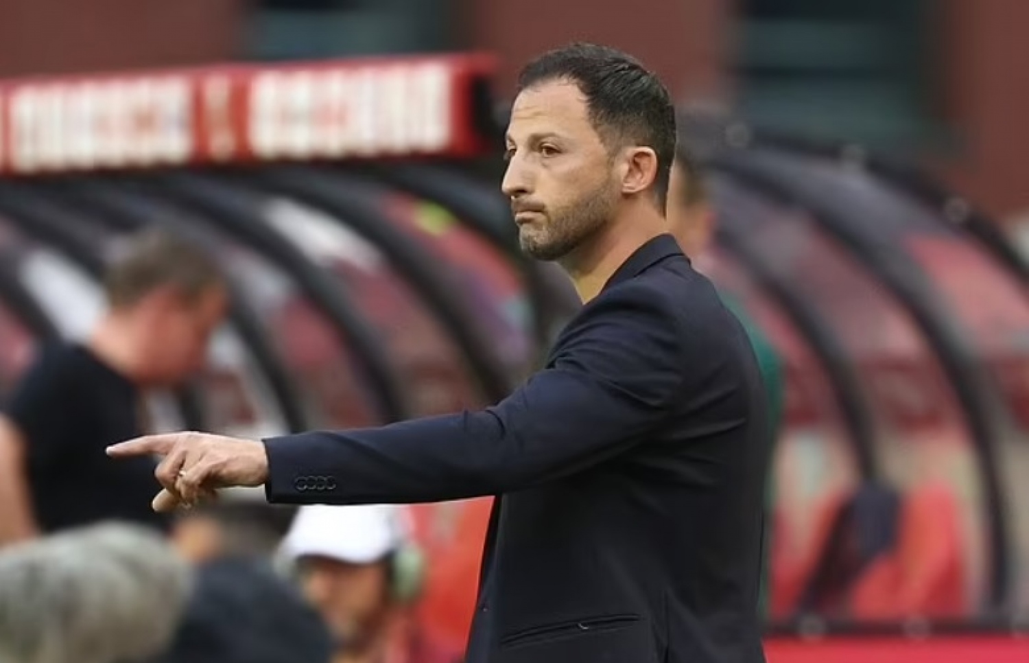 ބެލްޖިއަމްގެ ކޯޗު ޑޮމެނިކޯ ޓެޑެސްކޯ