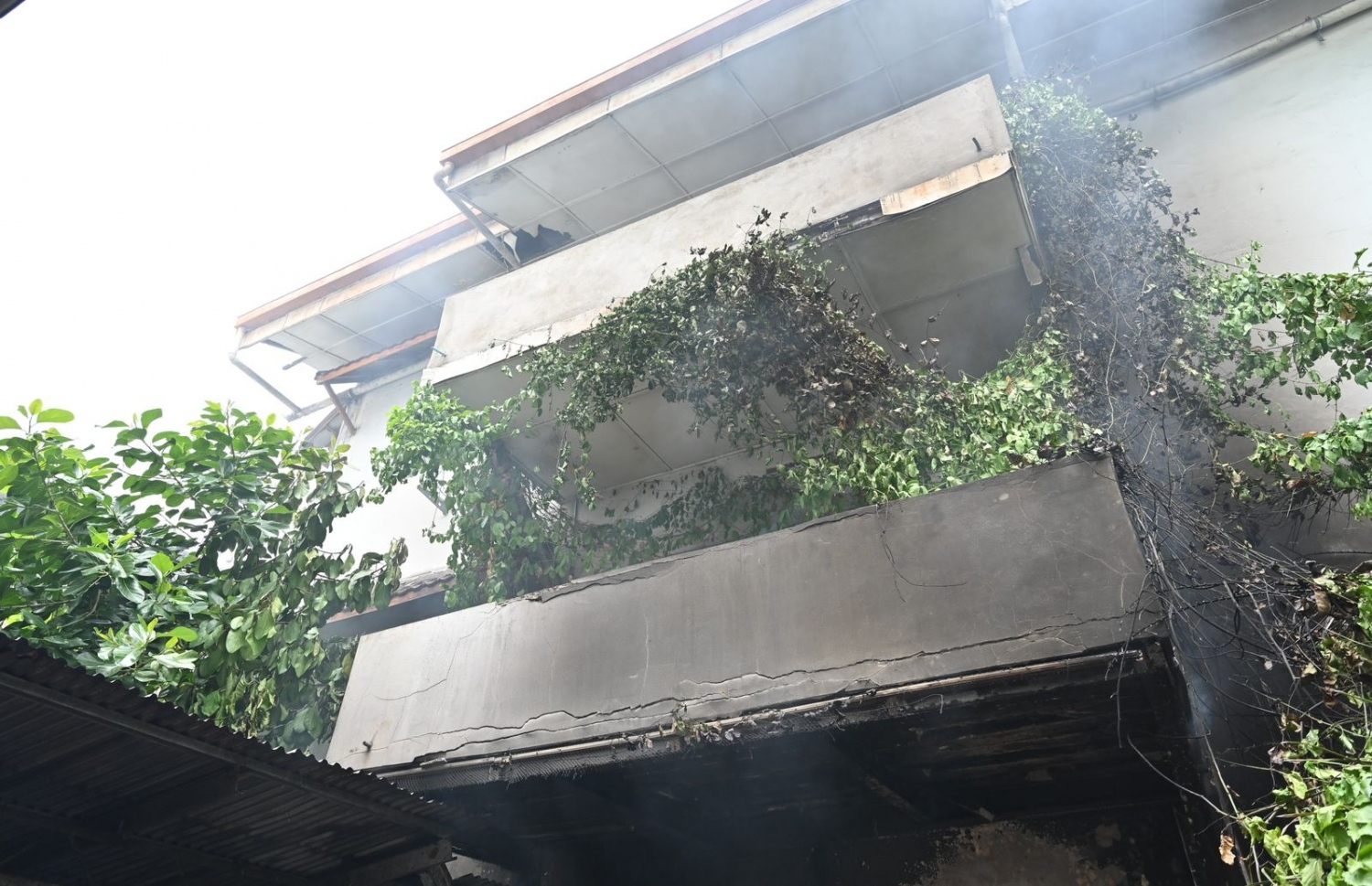 މާފަންނު ހައުސް ޕްލާޒާގައި ރޯވި އަލިފާންގަނޑު ނިއްވާލައިފައި.-- ފޮޓޯ: ނިޝާން އަލީ | މިހާރު