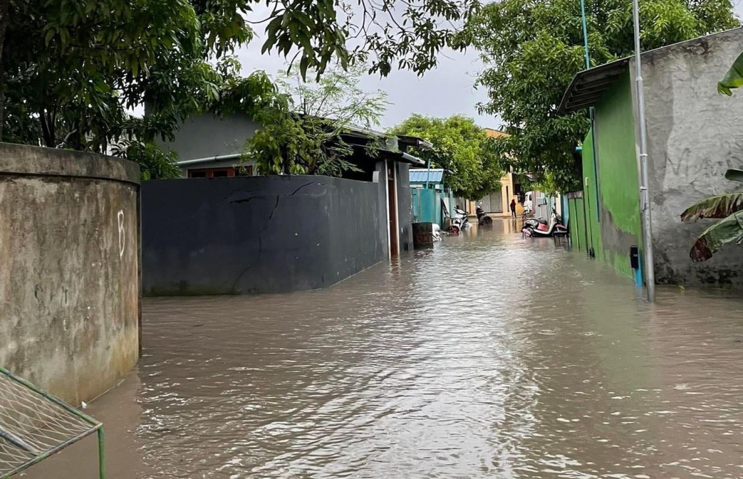 ކުރެންދޫގައި ފެންބޮޑުވެފައި.--