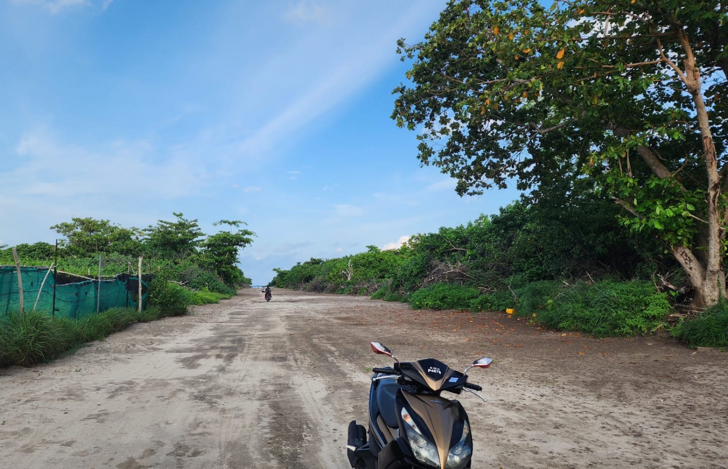 އުލިގަމު މަގެއް.-.-- ފޮޓޯ: ކައުންސިލް