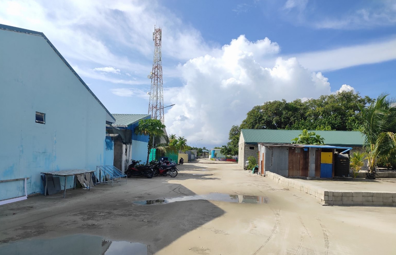 އުލިގަމު-- ފޮޓޯ: ކައުންސިލް