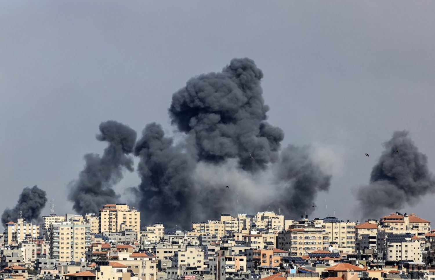 ރައްދުގައި އިޒްރޭލުން ބޮމުގެ ހަމަލާއެއް ދެނީ