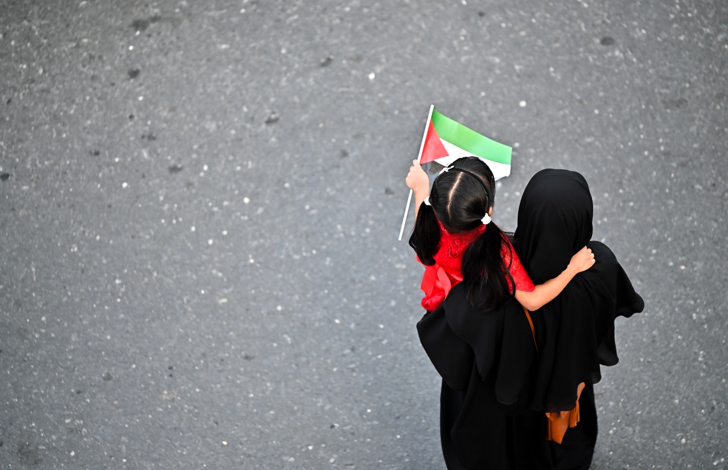 "ދިވެހިން ފަލަސްތީނާއެކު" ނަމުގައި މާލޭގައި ބޭއްވި ބޮޑު އެއްވުމުގައި މީހަކު ކުޑަ ކުއްޖެއް ގޮވައިގެން އާޓިފިޝަލް ބީޗު ސަރަހައްދުގައި -- ފޮޓޯ: ފަޔާޒު މޫސާ | މިހާރު