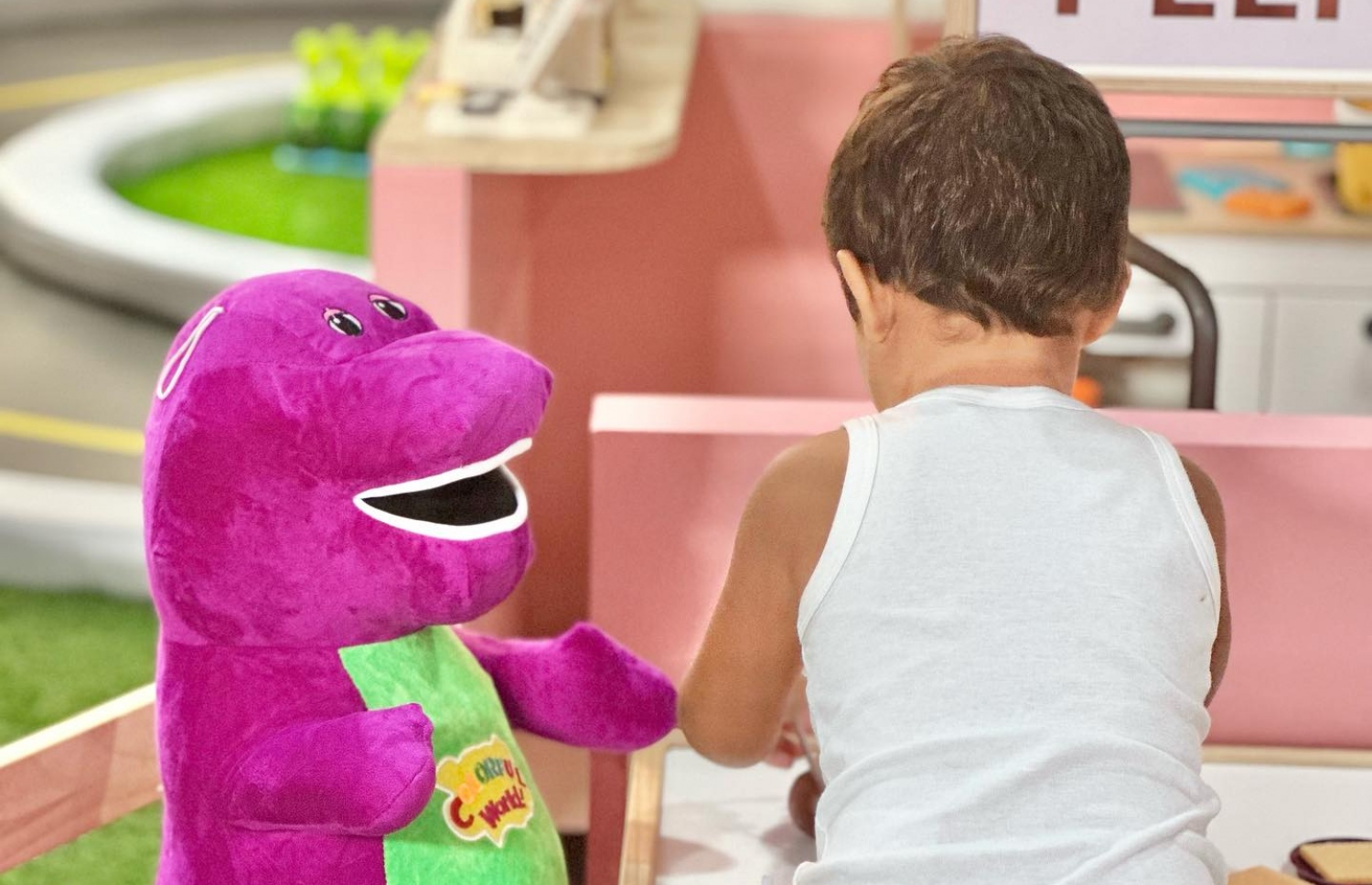 ޕީކް އެންޑް ޕްލޭގައި ކުއްޖަަކު ކުޅެން ހުއްޓާ-- ފޮޓޯ: ޕީކް އެންޑް ޕްލޭ