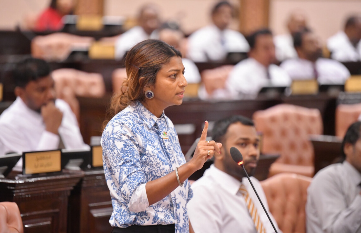 މަޖިލީހުގެ މިއަދުގެ ޖަލްސާގައި އީވާ ވާހަކަ ދައްކަވަނީ--ފޮޓޯ: މަޖިލިސް