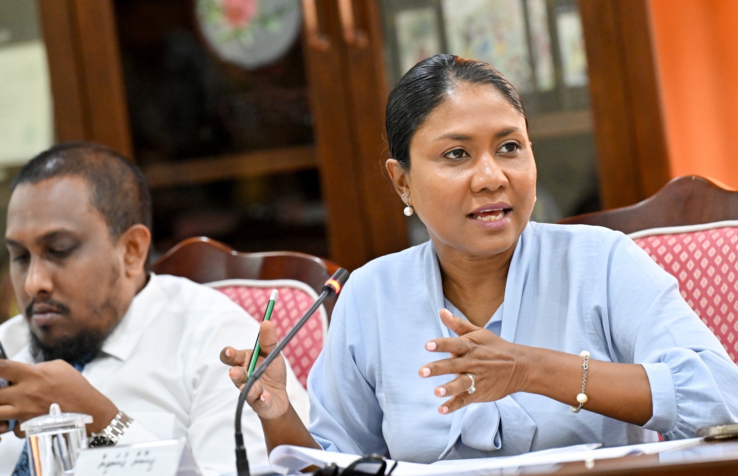 ލާމަރުކަޒީ ގާނޫނު އެކުލަވާލުމުގައި އުޅުއްވި ހިސާން އެ މާއްދާ ސާފުކޮށްދެއްވަނީ -- ފޮޓޯ: ނިޝާން އަލީ/ މިހާރު