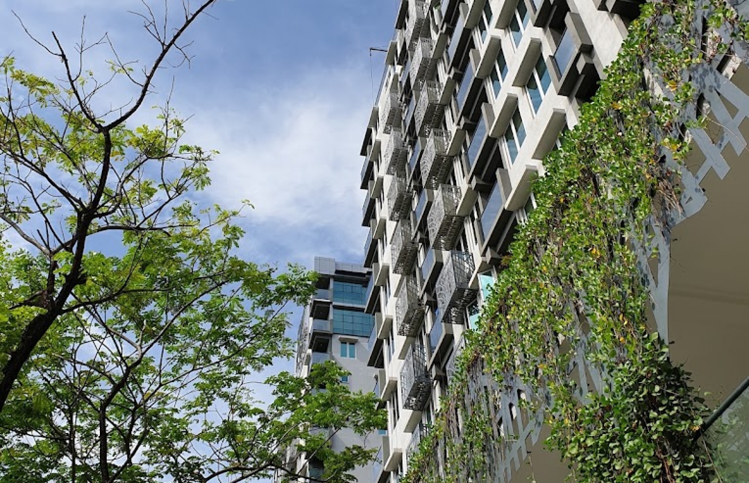 ހުޅުމާލޭގައި ހުންނަ އަމީން އެވެނިއު