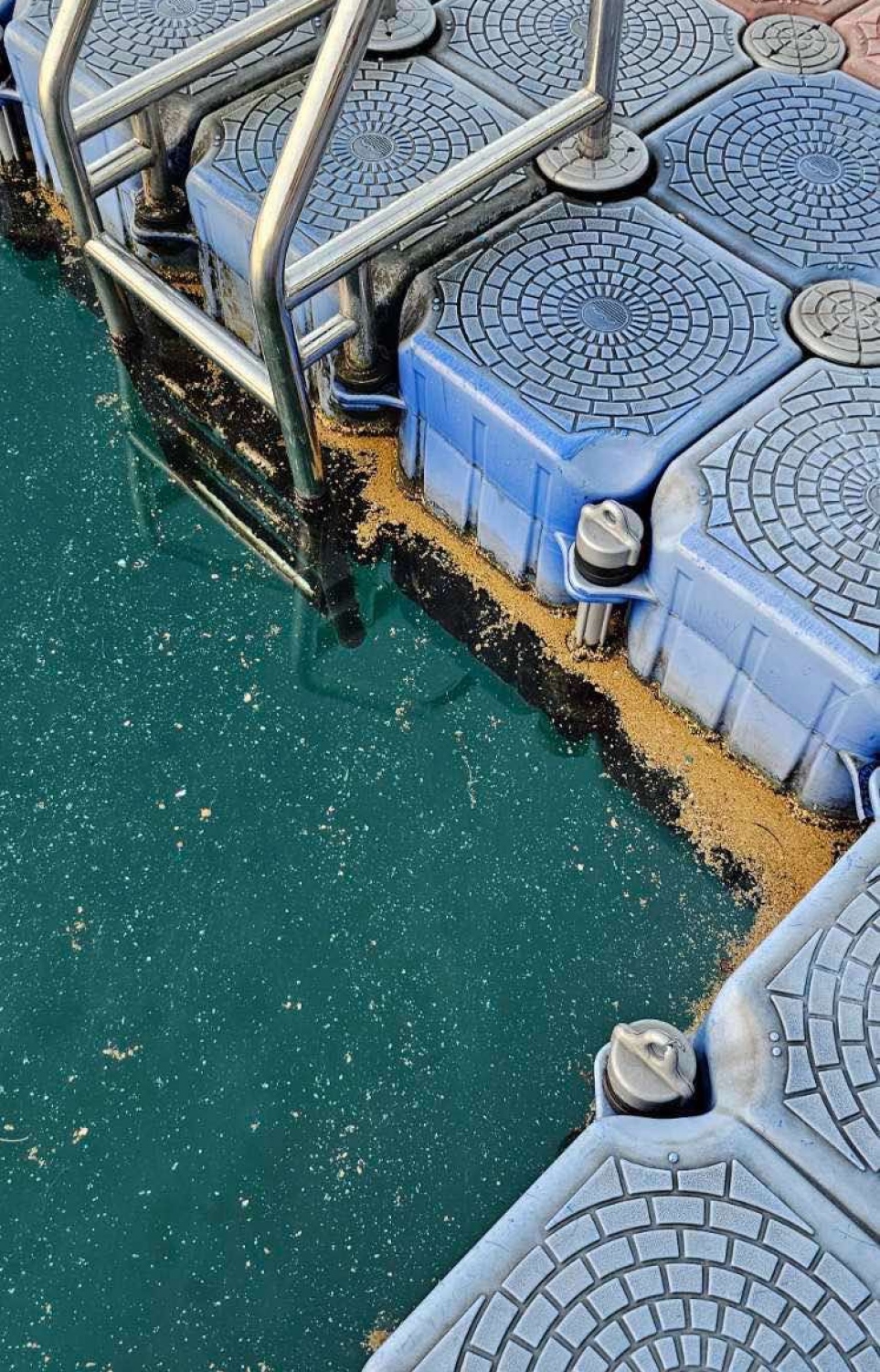 ފަތާ ޓްރެކުން މިދިޔަ އާދިއްތަ ދުވަހު ފެނުނު ނަޖިސް: މިއީ ހައްލު ނުވި މައްސަލައެއް