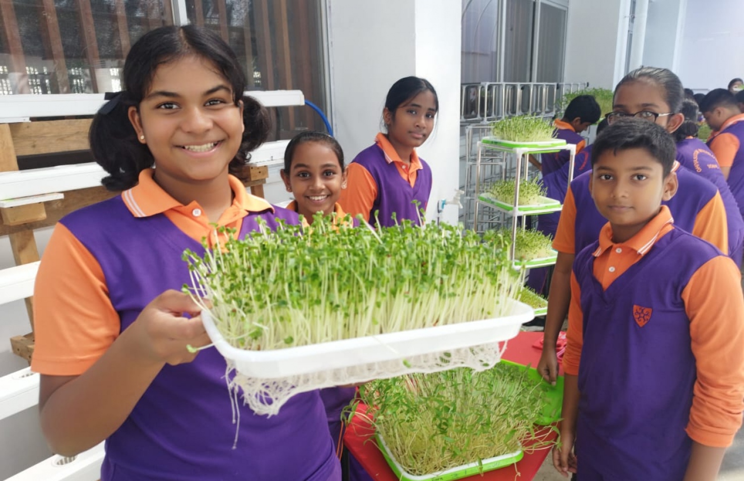 ދަރިވަރުން ހައްދާފައިވާ ތަކެތި ދައްކާލަނީ.-- ފޮޓޯ: ޣިޔާސުއްދީން ސްކޫލު