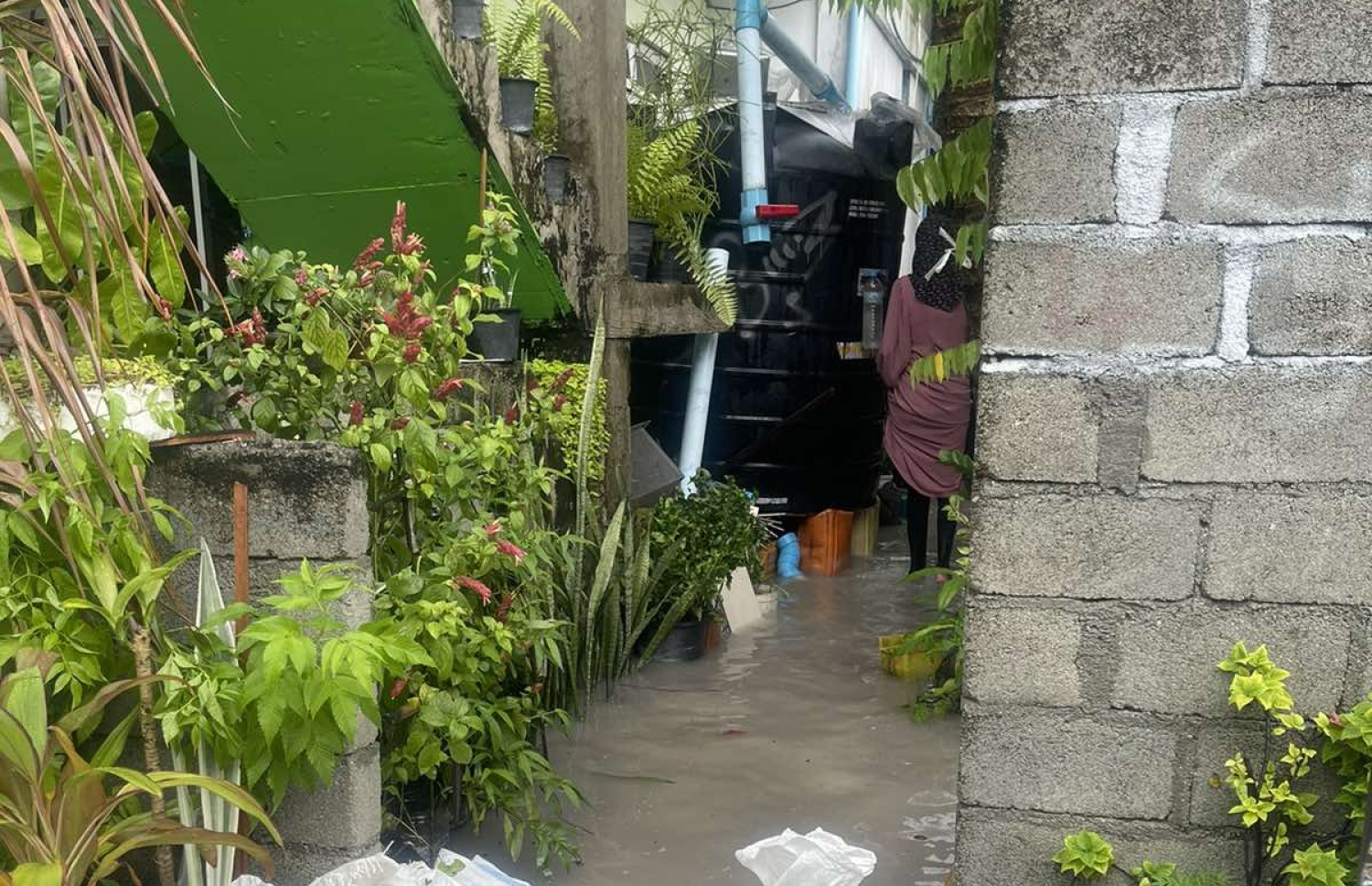 ވިއްސާރައިގައި ގުރައިދޫގައި ފެންބޮޑުވެފައި.-- ފޮޓޯ: ގުރައިދޫ ކައުންސިލް