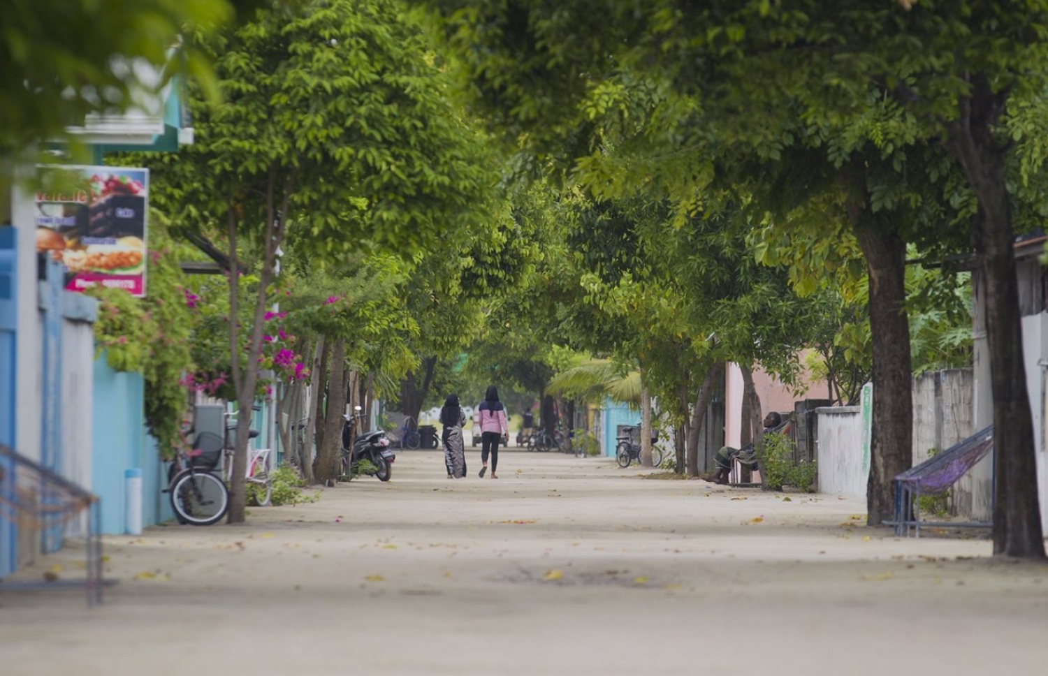 ނ. ވެލިދޫގެ މަގަކުން ބަޔަކު ހިނގާފައި ދަނީ: އެ ރަށުގައި 100 ހައުސިން ޔުނިޓްގެ ޕްރޮޖެކްޓެއް ހިންގާނެ ބަޔަކު ހޯދަން ވަނީ އިއުލާންކޮށްފައި.-- ފޮޓޯ: ވިޒިޓް ވެލިދޫ ފޭސްބުކް ޕޭޖް