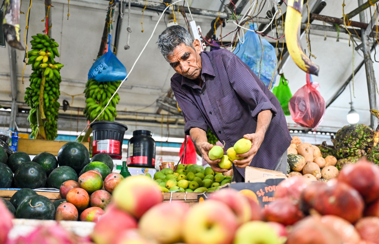 މާރުކޭޓުގެ ގޮޅިއެއްގައި މީހަކު މޭވާތަކެއް އަތުރަނީ: ރޯދަމަސް ފެށެން އެއް ދުވަސް ވެފައިވާއިރު، ތަކެތީގެ އަގު މިހާތަނަށް ނުއުފުލޭކަން ފާހަގަކުރެވޭ.---ފޮޓޯ: ފަޔާޒު މޫސާ| މިހާރު