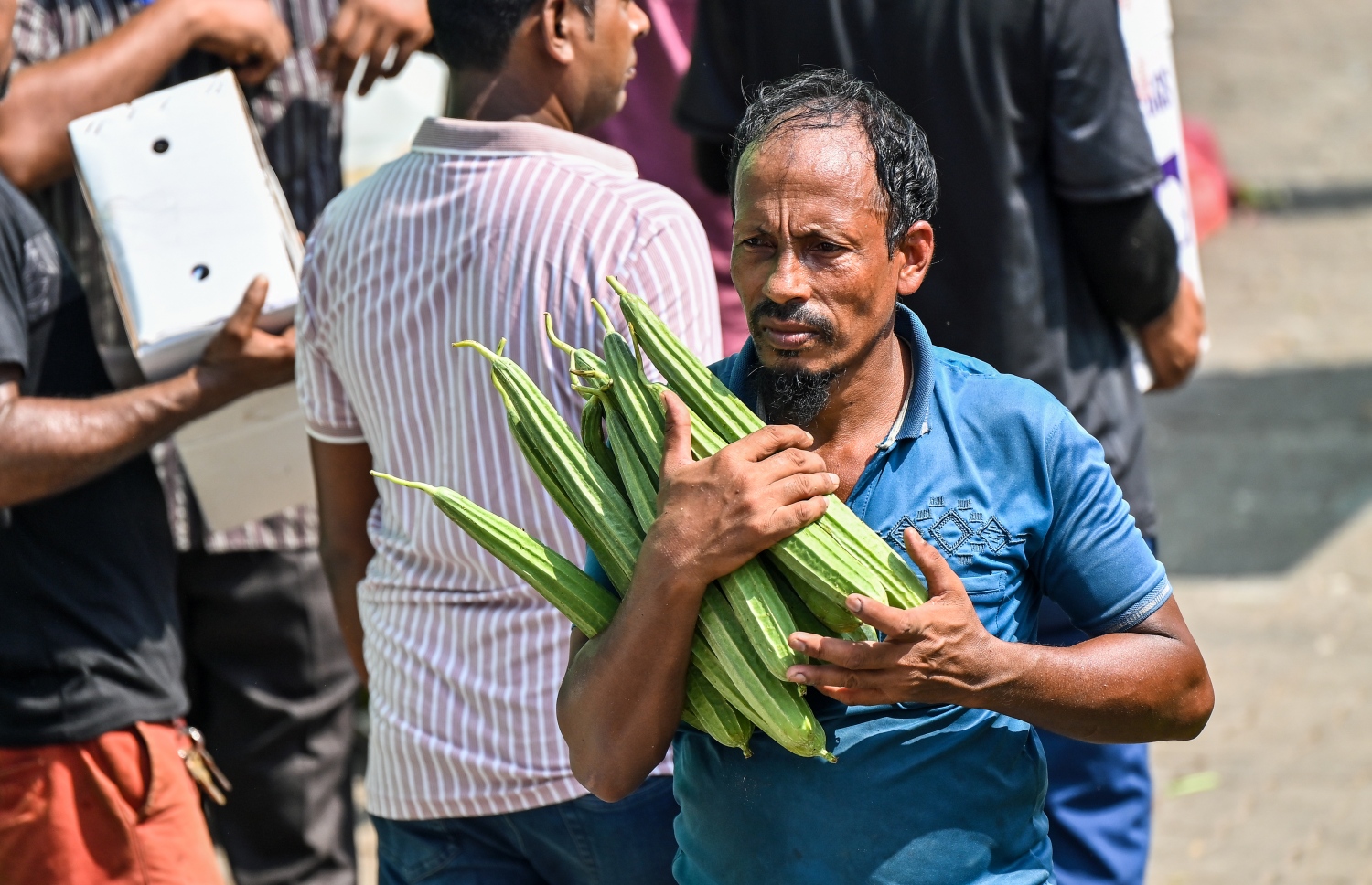 މާރުކޭޓު ސަރަހައްދުގައި މީހަކު ތޮރާތަކެއް ހިފައިގެން ދަނީ،: ބާޒާރުމަތީ އަގުތަކަށް ބަލާލާއިރު، ކުރިއެކޭ އެއްގޮތަށް މި އަހަރު ވެސް ދިވެހިން އާންމުކޮށް ބޭނުންކުރާ މޭވާ އާއި ތަރުކާރީގެ ގިނަ ބާވަތްތަކުގެ އަގު ވަނީ އުފުލިފައި -- ފޮޓޯ: ފަޔާޒު މޫސާ | މިހާރު
