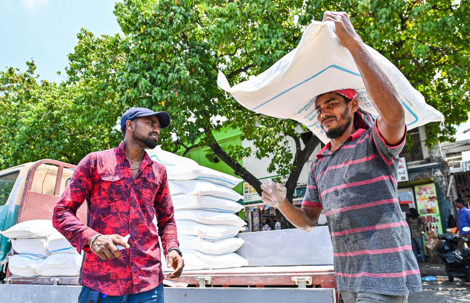 ބިދޭސީންތަކެއް ފުށް ބަސްތާތަކެއް އުފުލަނީ: އަންނަ އަހަރުން ފެށިގެން ކާޑުގެ ސަބްސިޑީ ދޭނީ އާމްދަނީގެ ނިސްބަތަށް ބެލުމަށްފަހު.-- ފޮޓޯ: ފަޔާޒު މޫސާ | މިހާރު