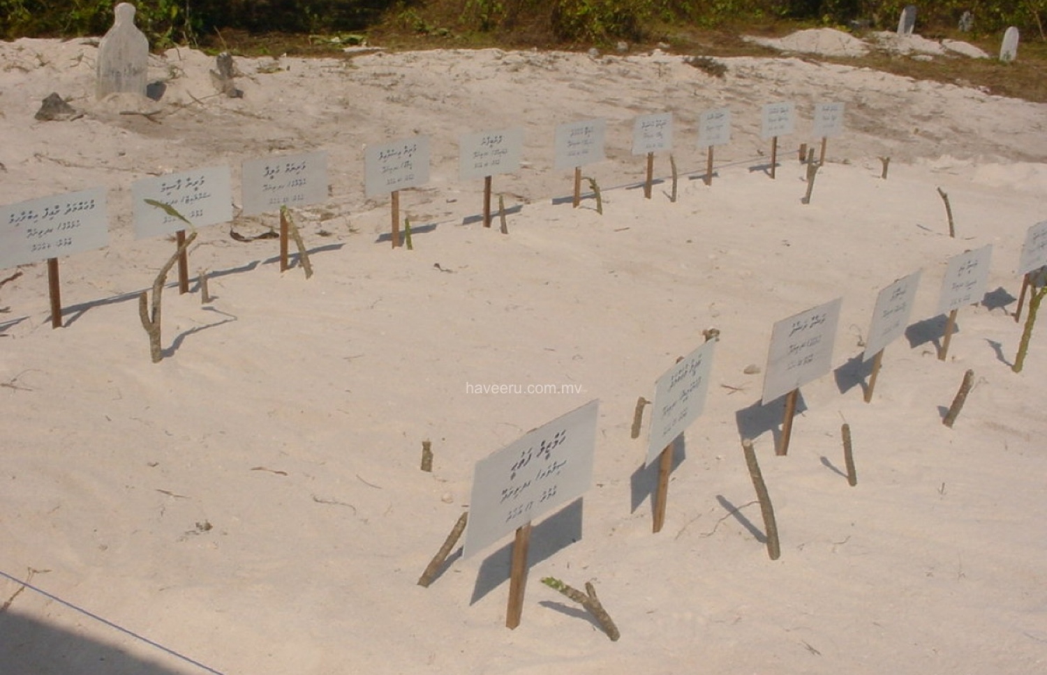 އެނަމާ ބަންޑުން ޖަހާލައި ދުނިޔެ ދޫކުރި ބައެއް މީހުންގެ މަހާނަ -- ފޮޓޯ: ހަވީރު