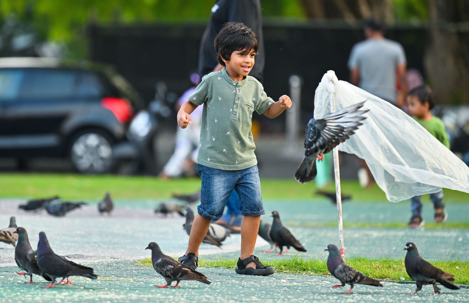 ޖުމްހޫރީ މައިދާން ސަރަހައްދުގައި ކުޑަކުއްޖަކު ކޮތަރުތައް ފަހާ ދުވަނީ: ކޮތަރުތަކަށް ކާން ދިނުމާއި ކޮތަރުތައް ފަހާ ދުވުމަކީ ޖުމްހޫރީ މައިދާނަށް ދާ ކުޑަކުދިން ވަރަށް ގަޔާވެގެން ކުރާ ކަމެއް.---ފޮޓޯ: ފަޔާޒު މޫސާ| މިހާރު