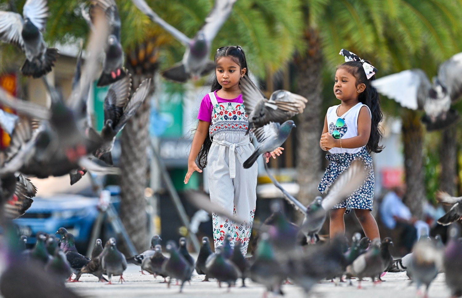 ކުޑަކުދިންތަކެއް ބީޗު ސަރަހައްދުގައި އުޅޭ ކޮތަރުތަކަށް ކާން ދެނީ.--- ފޮޓޯ: ފަޔާޒު މޫސާ | މިހާރު