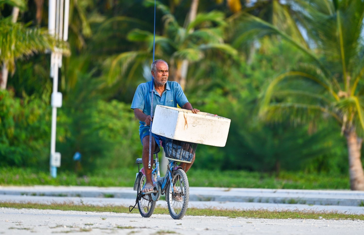 މުށި މަސްބާނަން މީހަކު ފުޅިމެދު ފޮށިގަނޑަކާއި ދޮއްޓެއް ހިފައިގެން ބައިސްކަލުގައި ބަނދަރު ސަރަހައްދަށް ދަނީ. -- ފޮޓޯ: ފަޔާޒު މޫސާ | މިހާރު